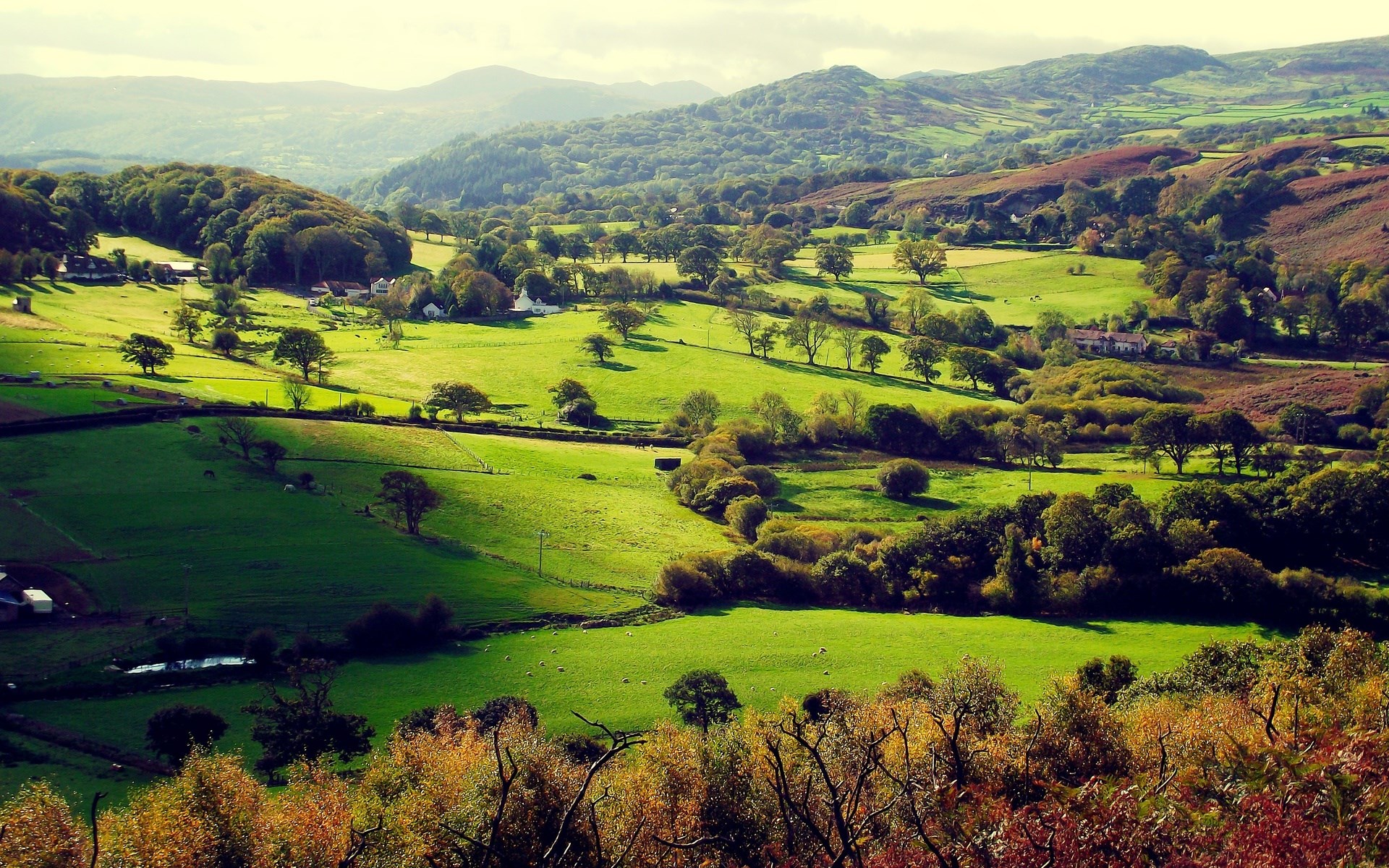 Rolling green hills with scattered trees and houses HD Wallpaper