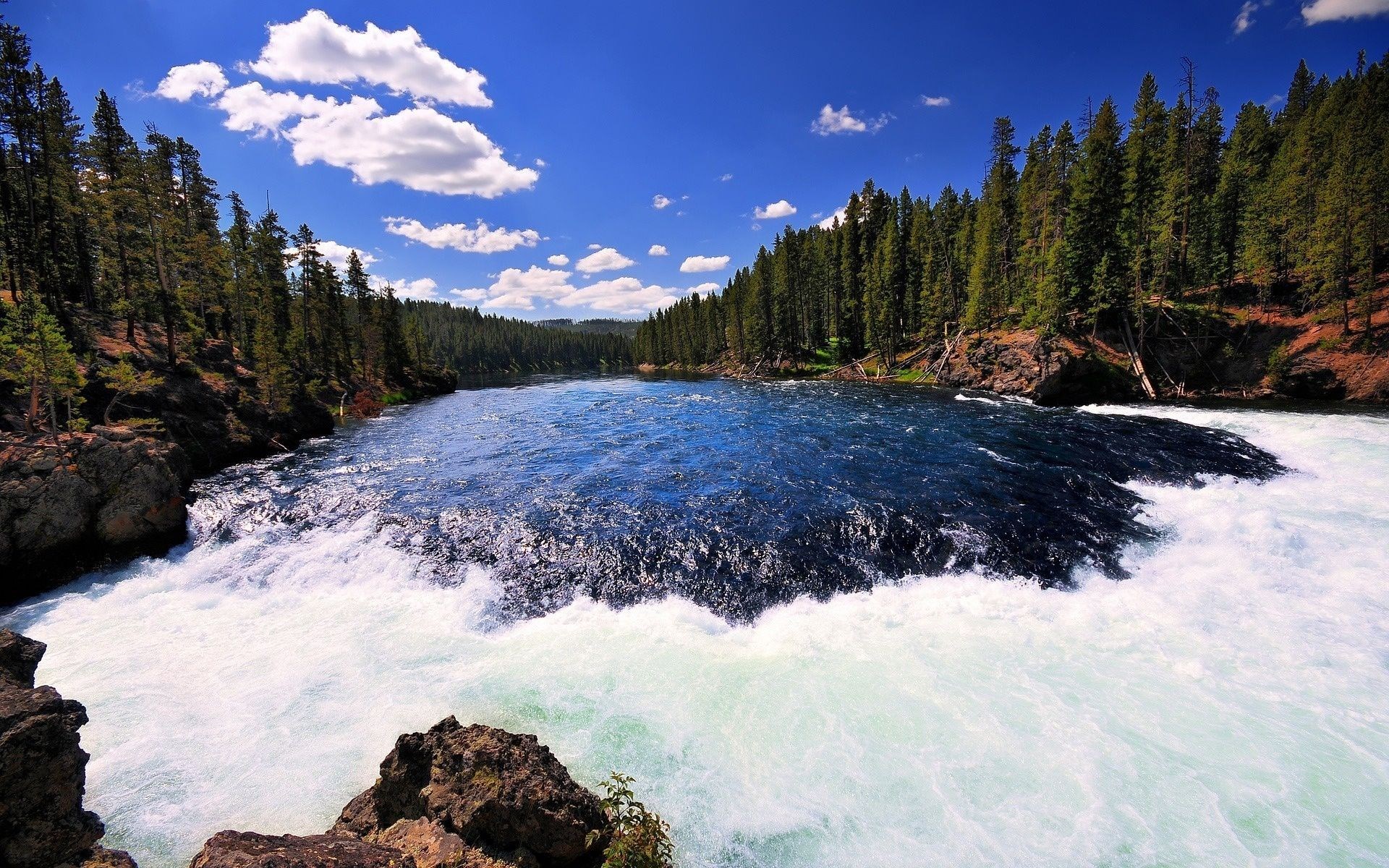 River flowing through a forest with a waterfall HD Wallpaper