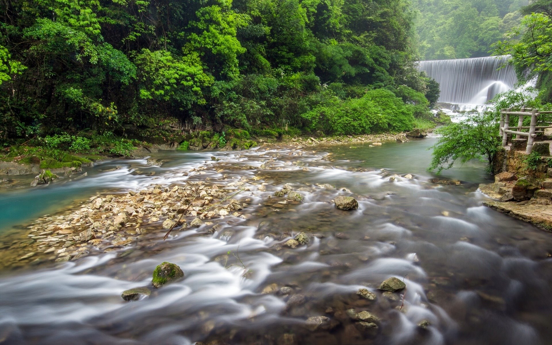 River flowing through a forest with a waterfall HD Wallpaper