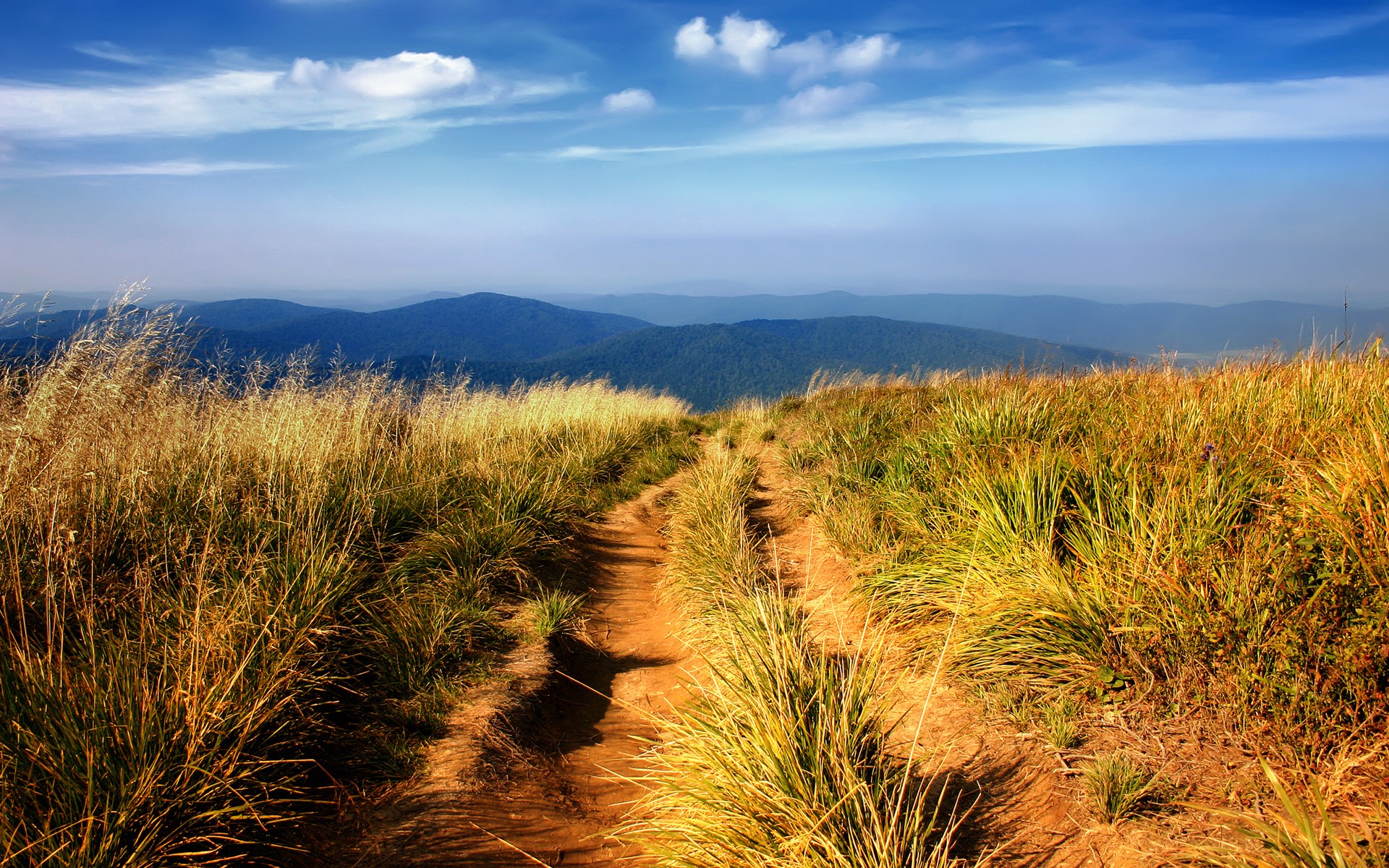 Dirt path through grassy hills with distant mountains HD Wallpaper