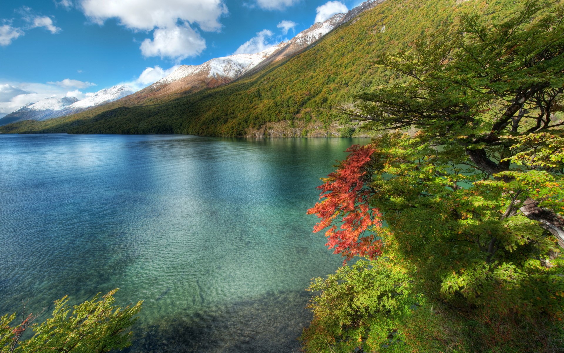 Lake and Mountains with Autumn Trees HD Wallpaper