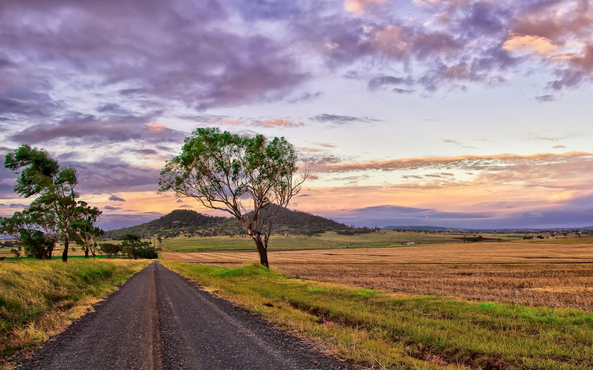 Dirt road through a field at sunset HD Wallpaper