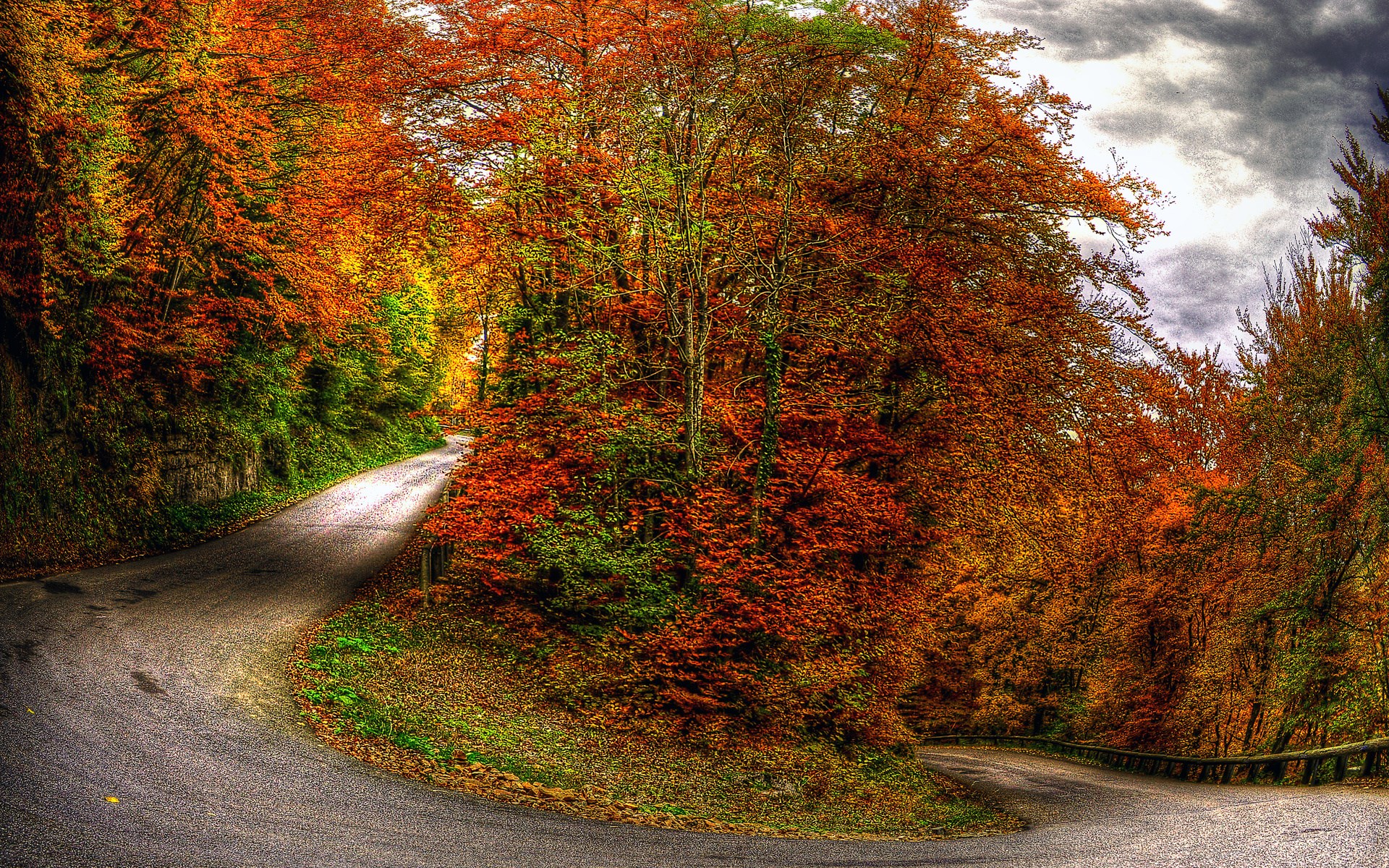 Winding road through autumn forest with colorful trees HD Wallpaper