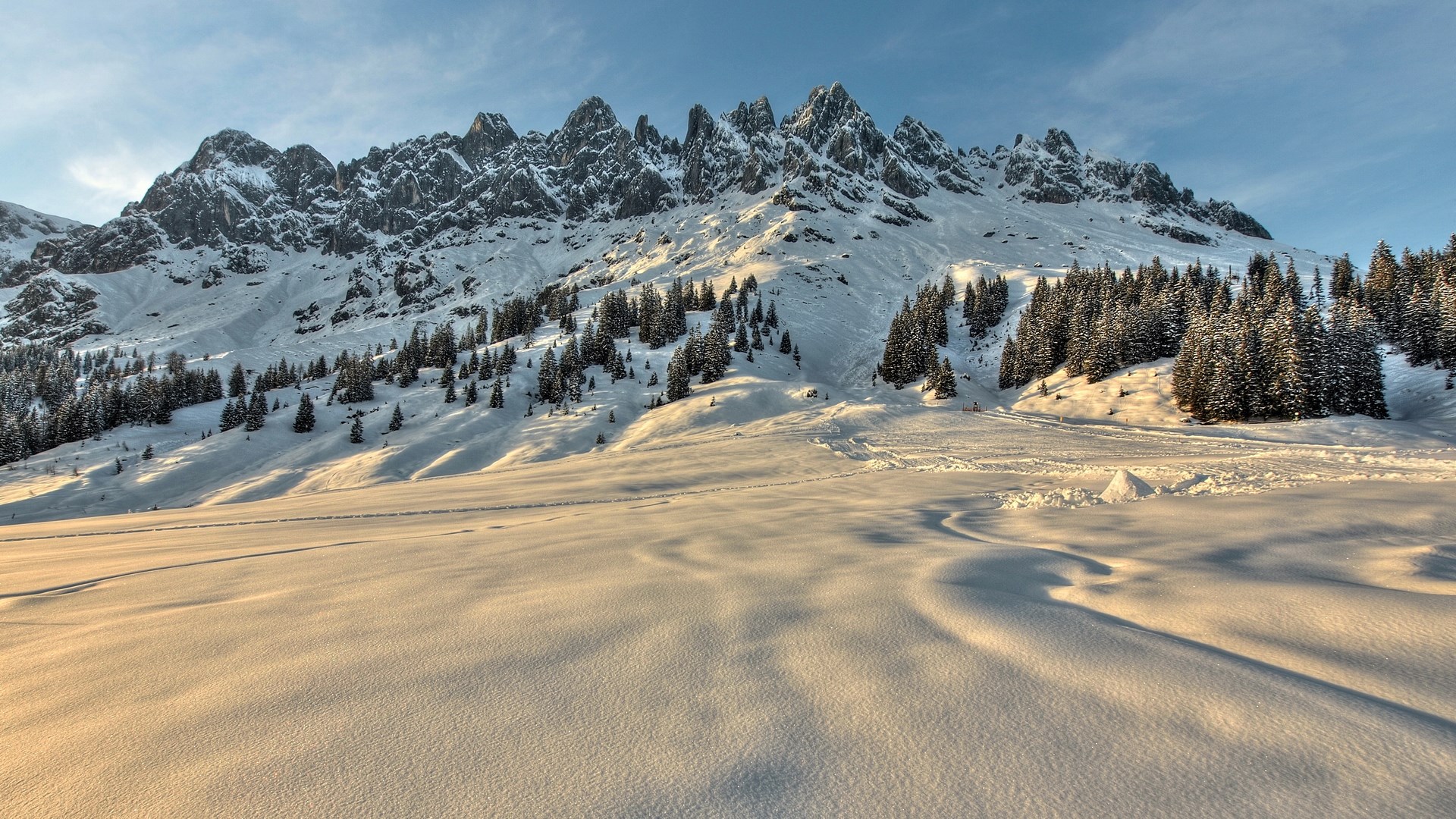 Snowy mountain range with pine trees and wind-swept snow HD Wallpaper