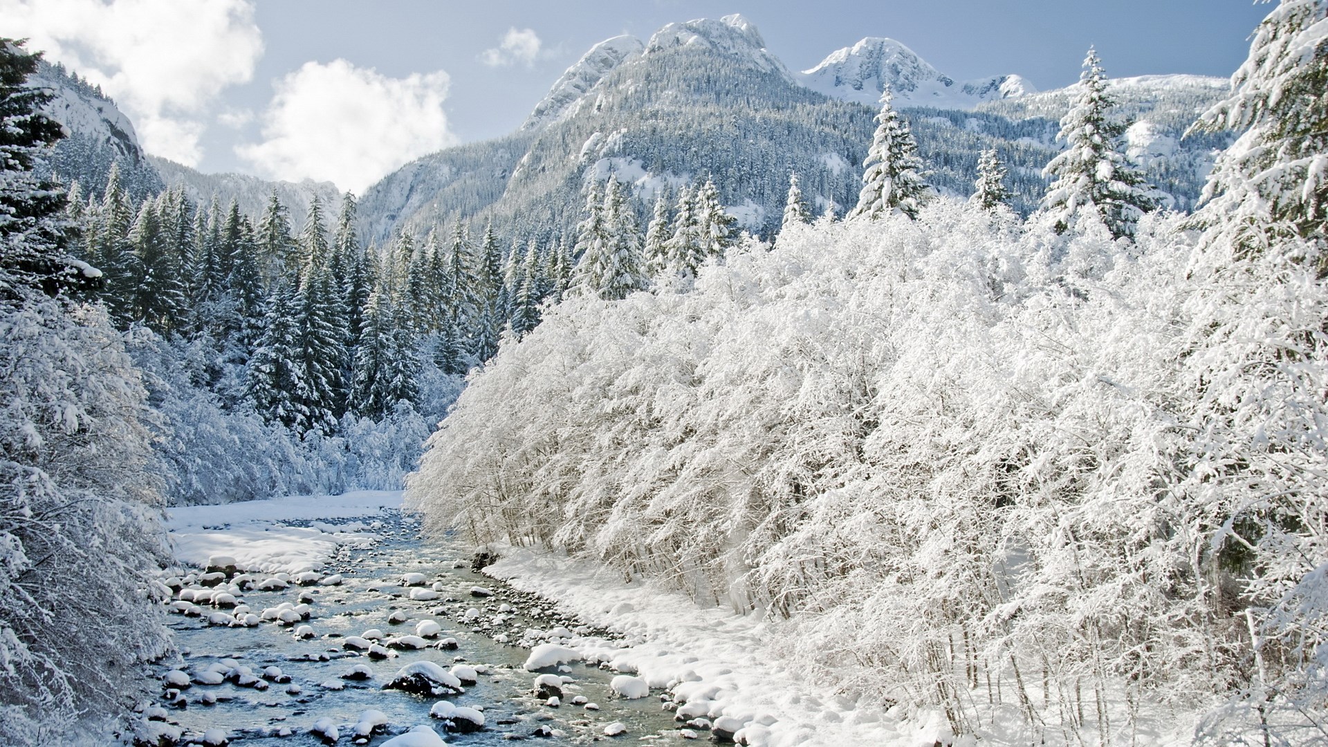 Snow-covered trees and mountains with a river HD Wallpaper