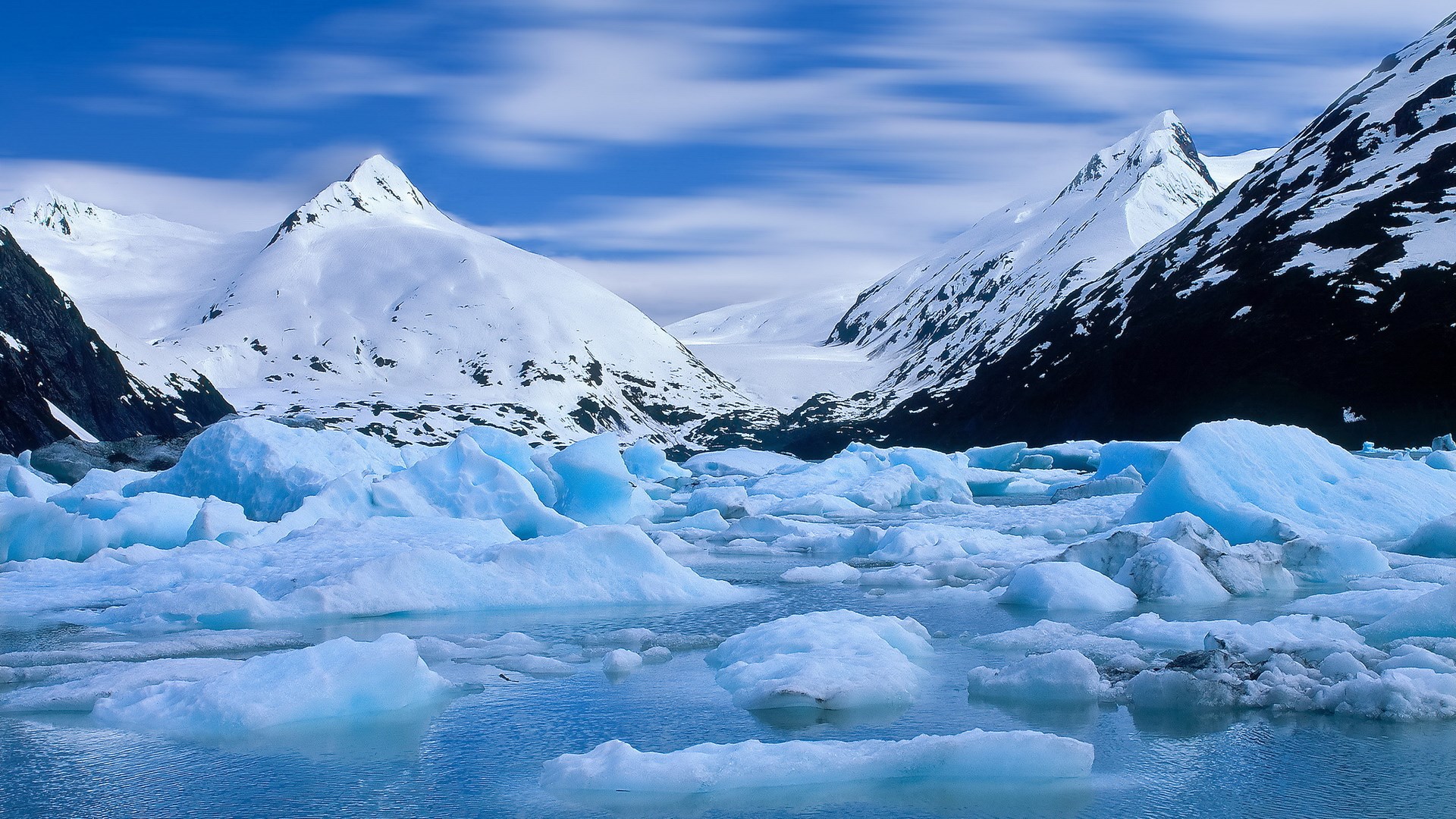 Icebergs in a glacial bay with snow-capped mountains HD Wallpaper