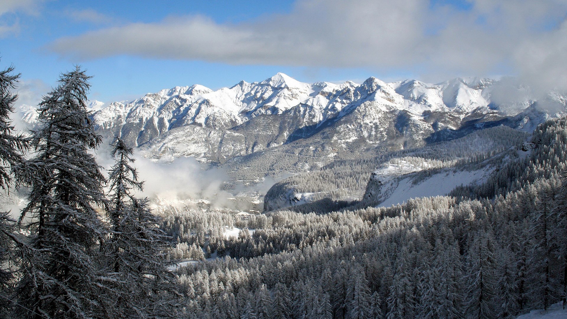 Snow-covered mountains and pine trees under a blue sky HD Wallpaper