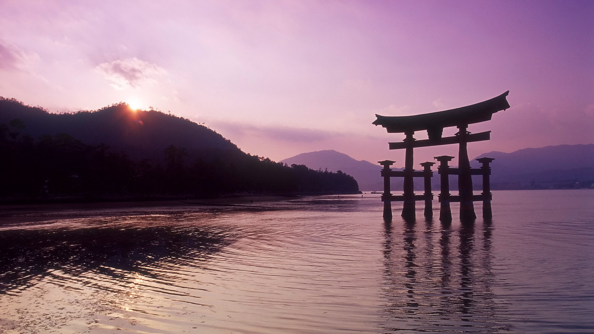 Torii gate in water at sunset HD Wallpaper