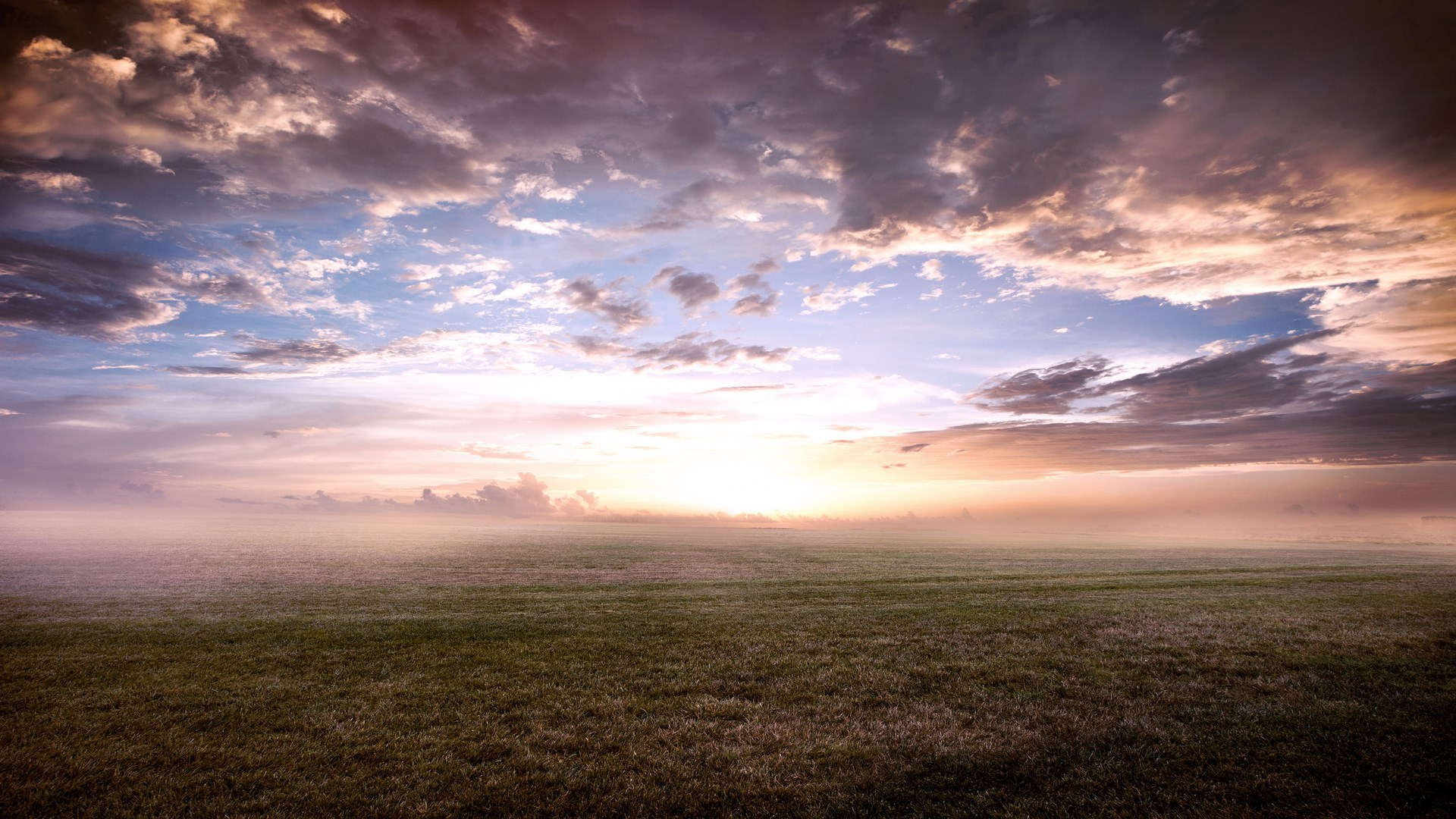 Grassy field under a cloudy sunset sky HD Wallpaper