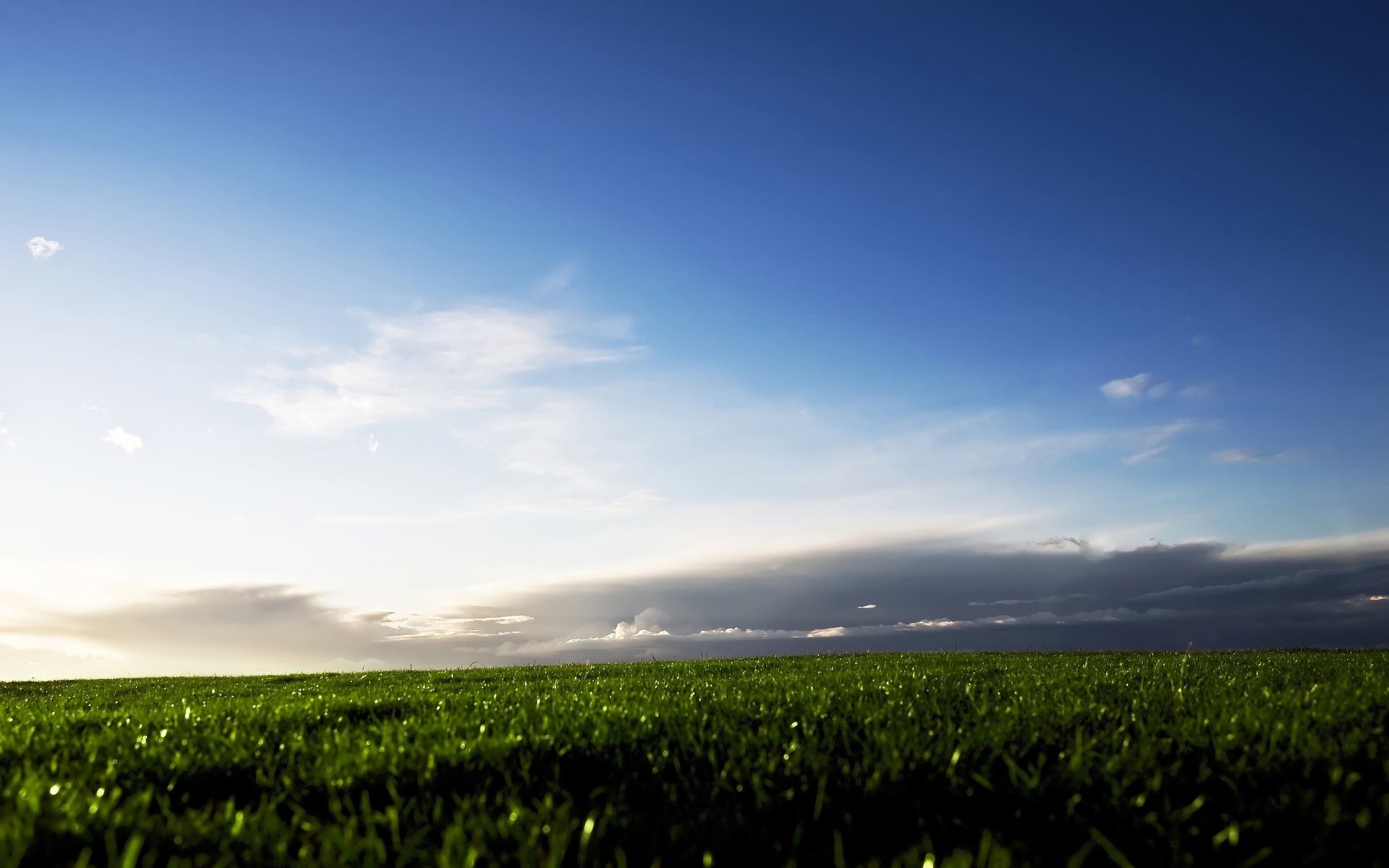 Green grass field under a blue sky with clouds HD Wallpaper