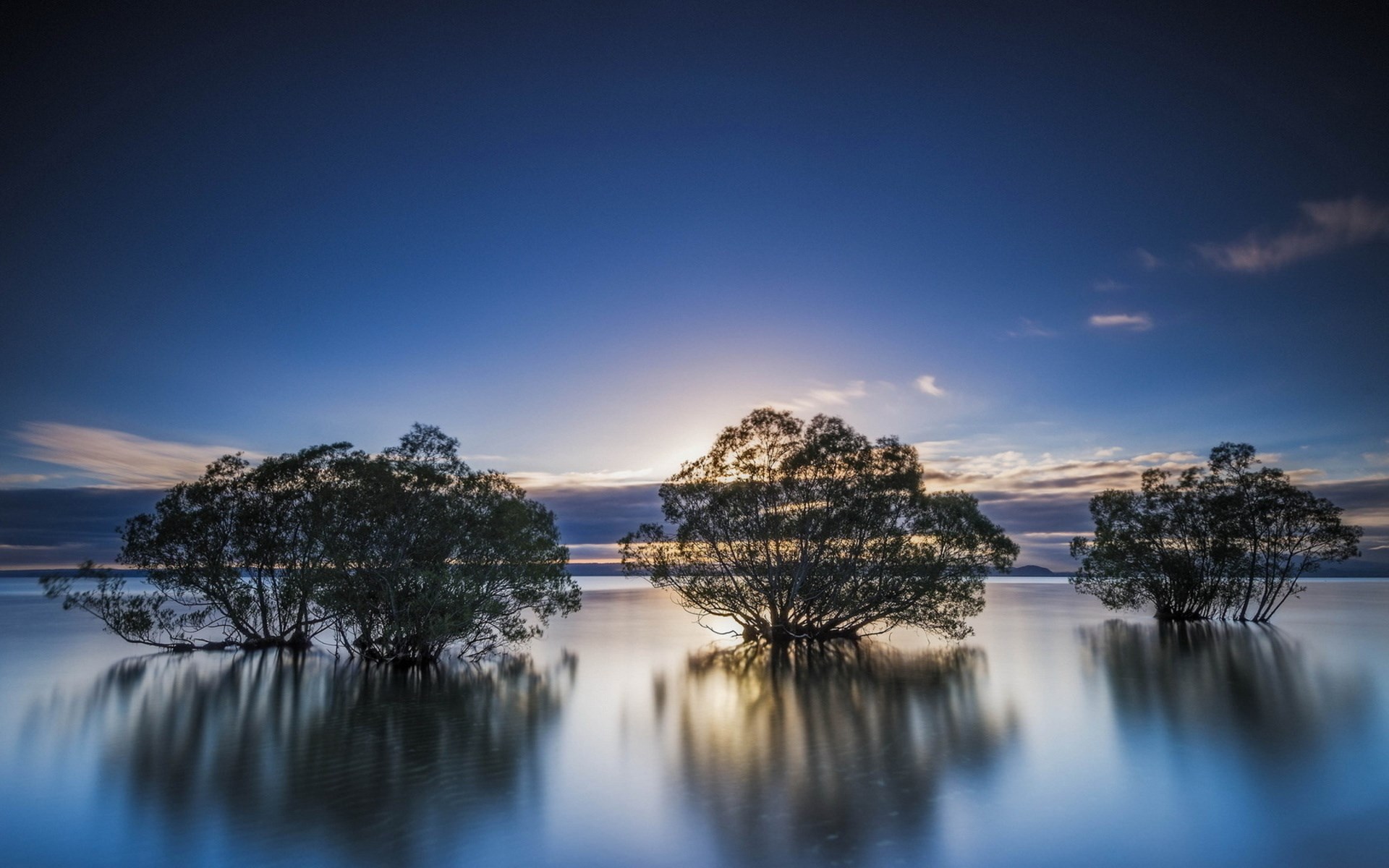 Trees in calm water at sunrise HD Wallpaper