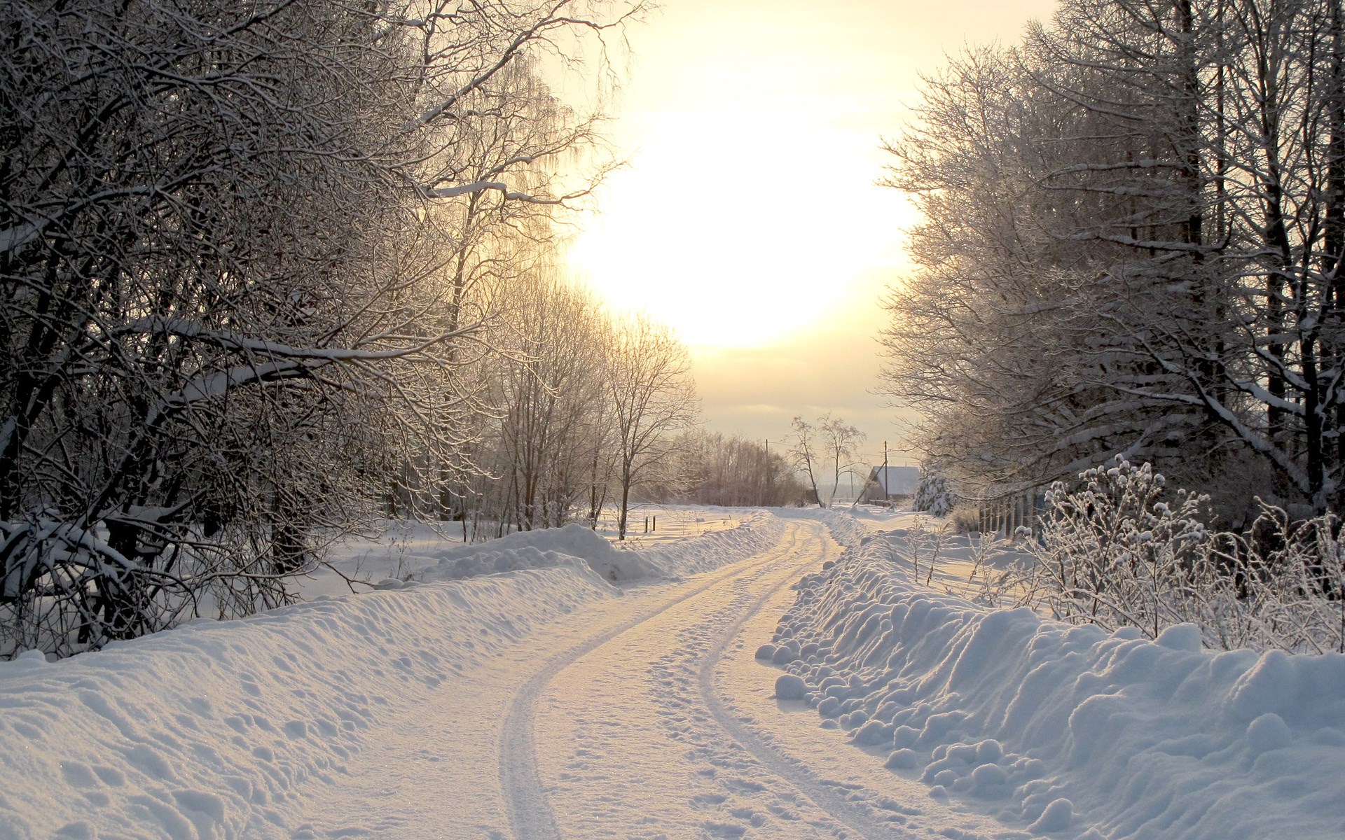 Snowy road through a winter forest at sunset HD Wallpaper