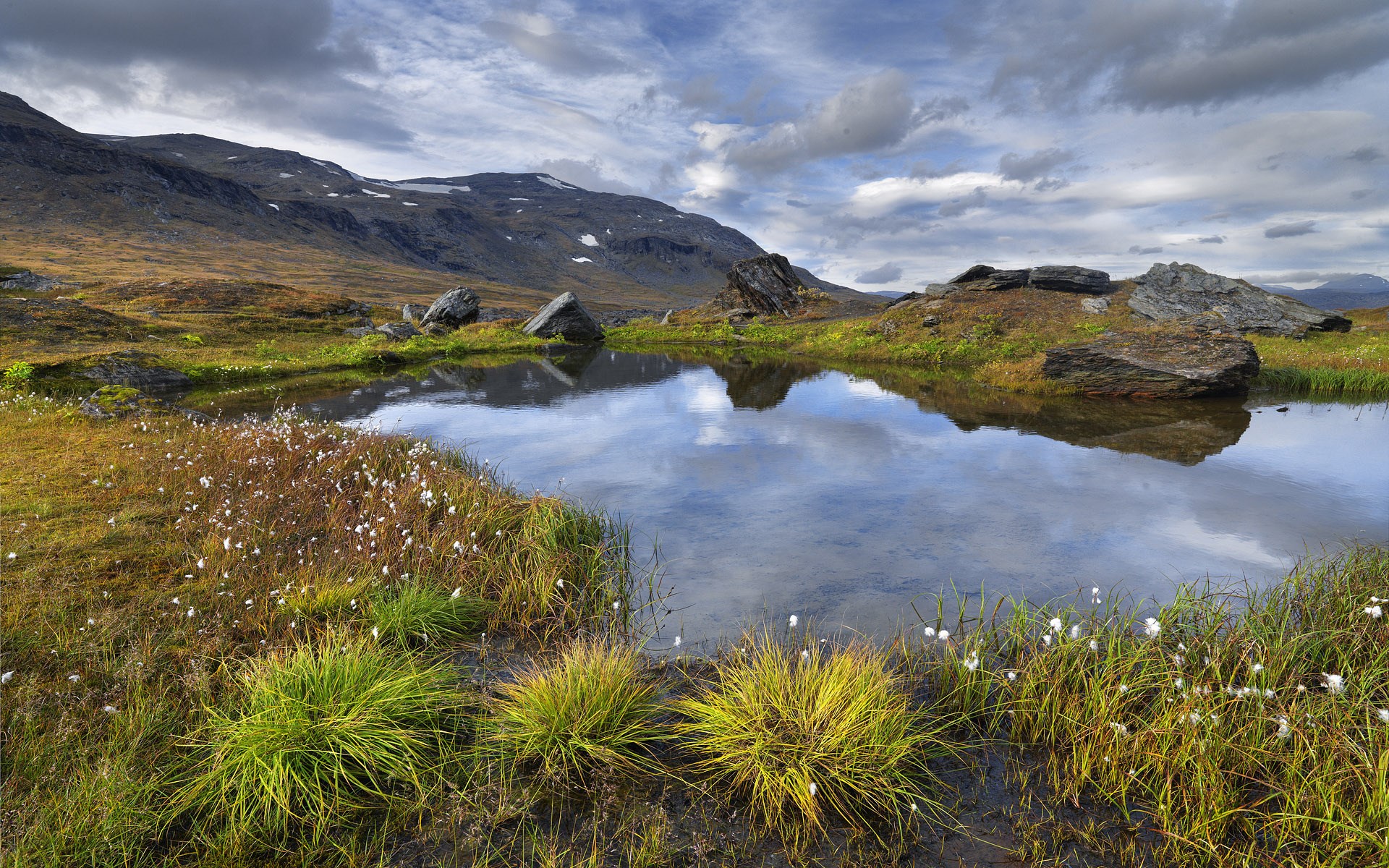 Mountain landscape with a small pond and cotton grass HD Wallpaper