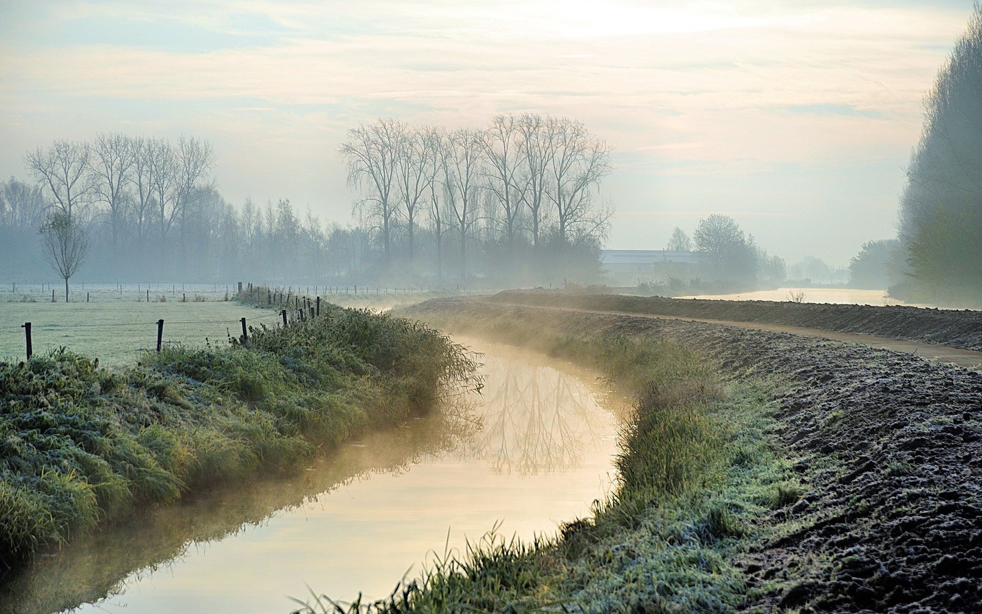 Misty canal and trees at sunrise HD Wallpaper