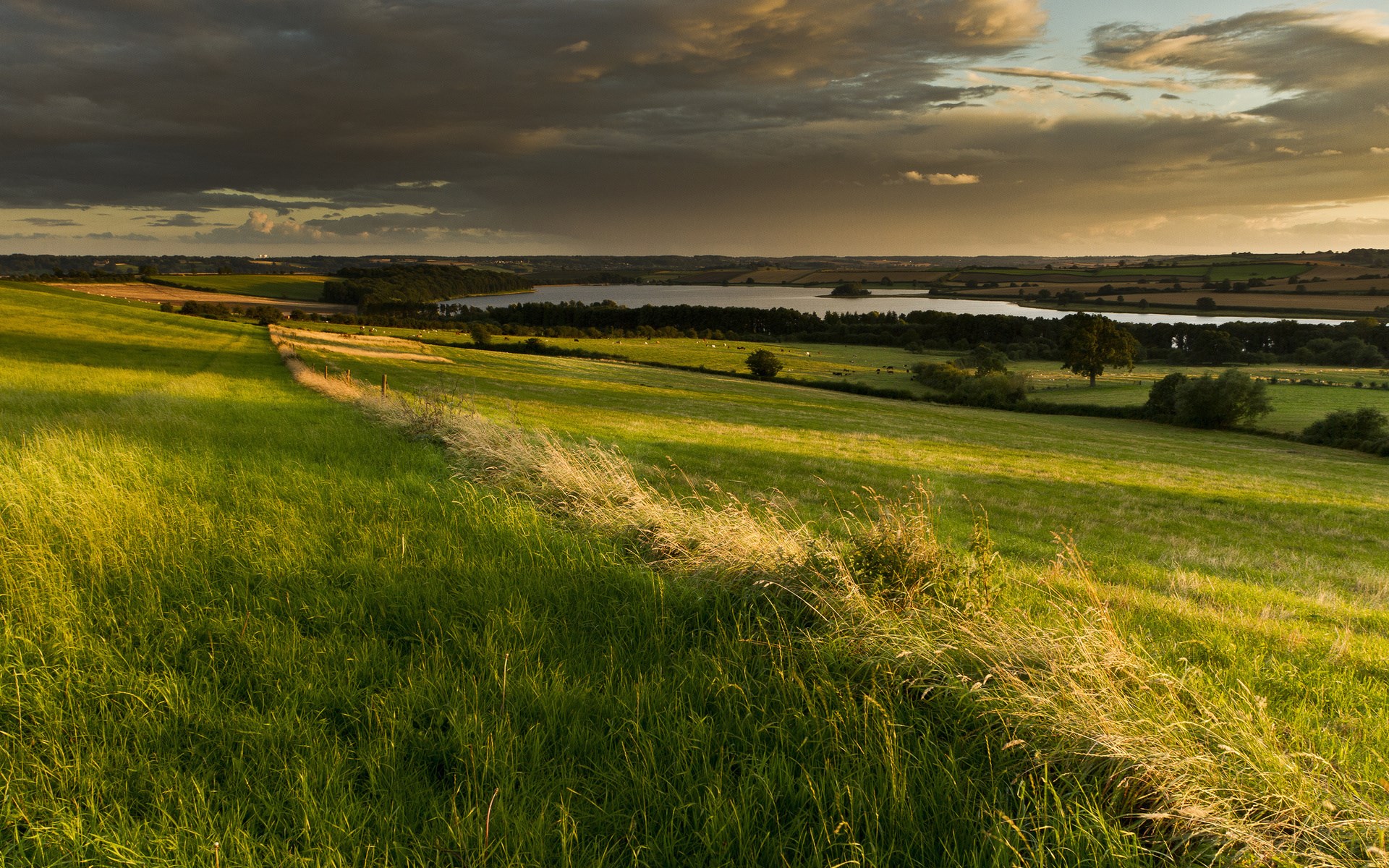 Rolling green hills and a lake at sunset HD Wallpaper