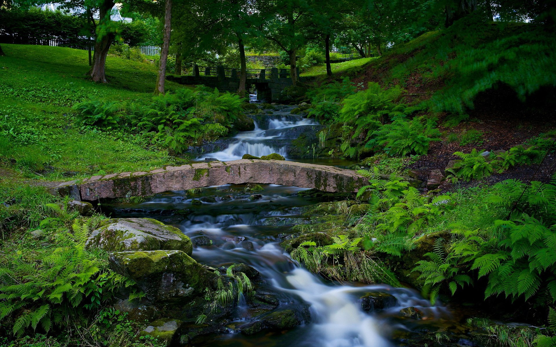 Stone bridge over a stream in a forest HD Wallpaper