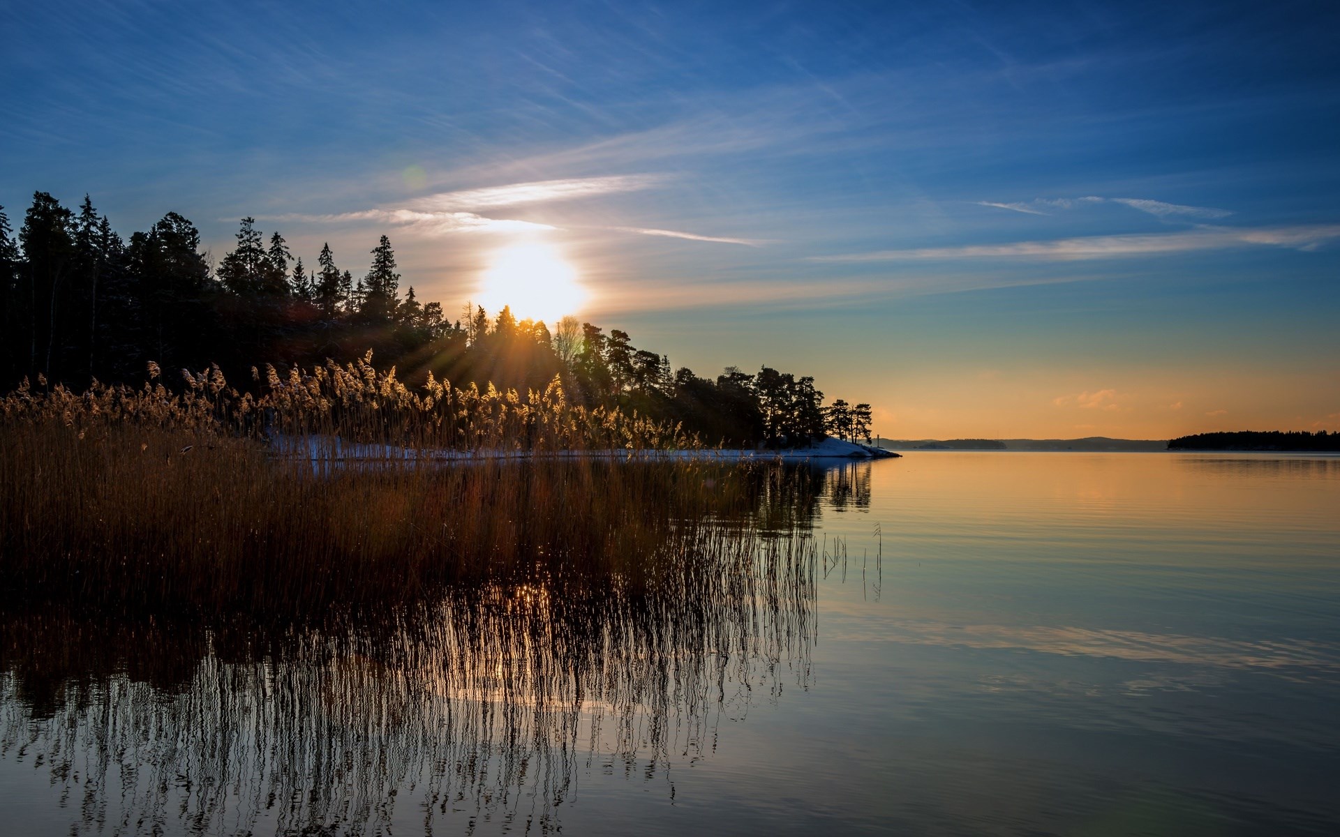 Sunset over a calm lake with reeds and trees HD Wallpaper