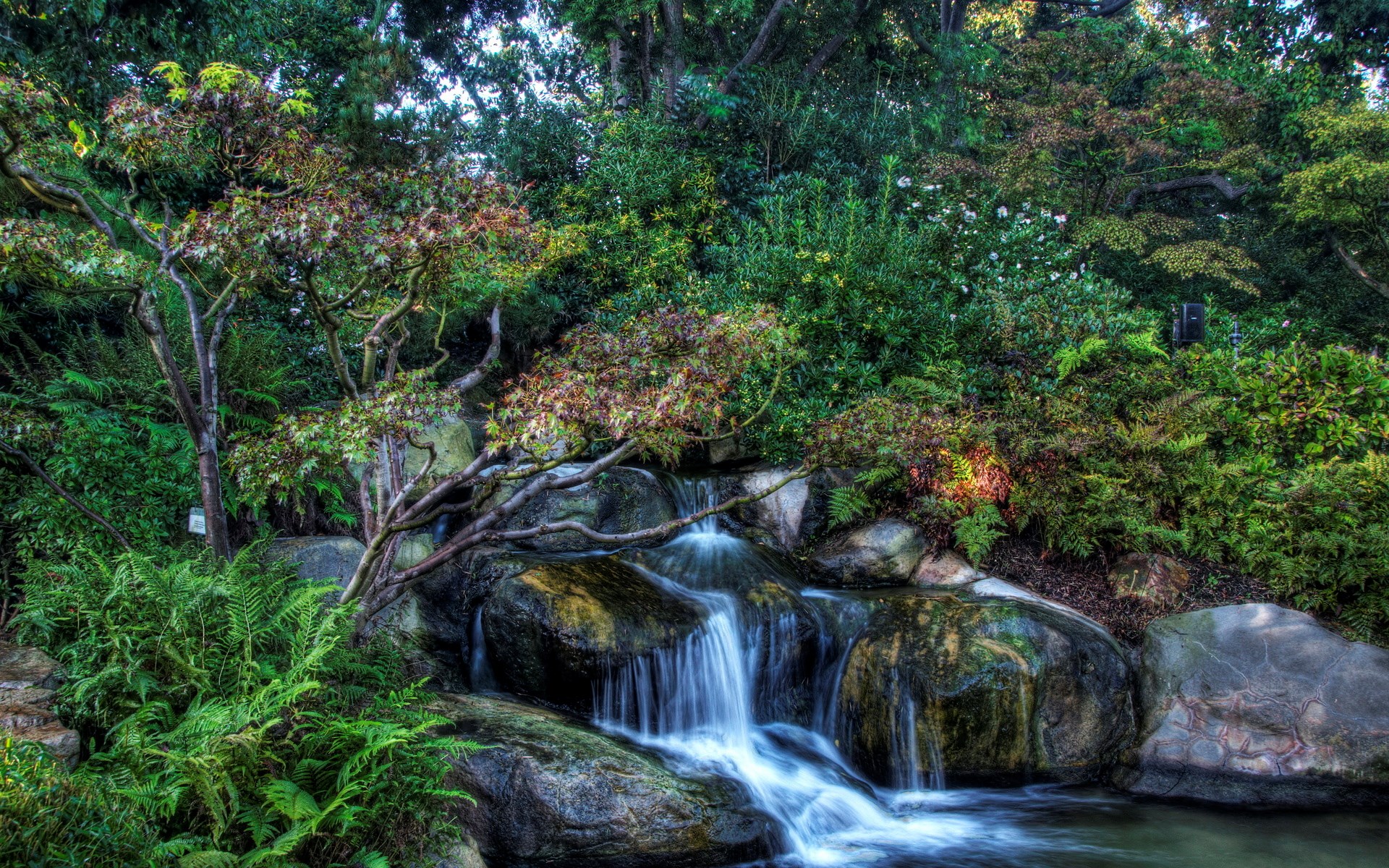 Waterfall in a Japanese Garden with Maple Tree HD Wallpaper