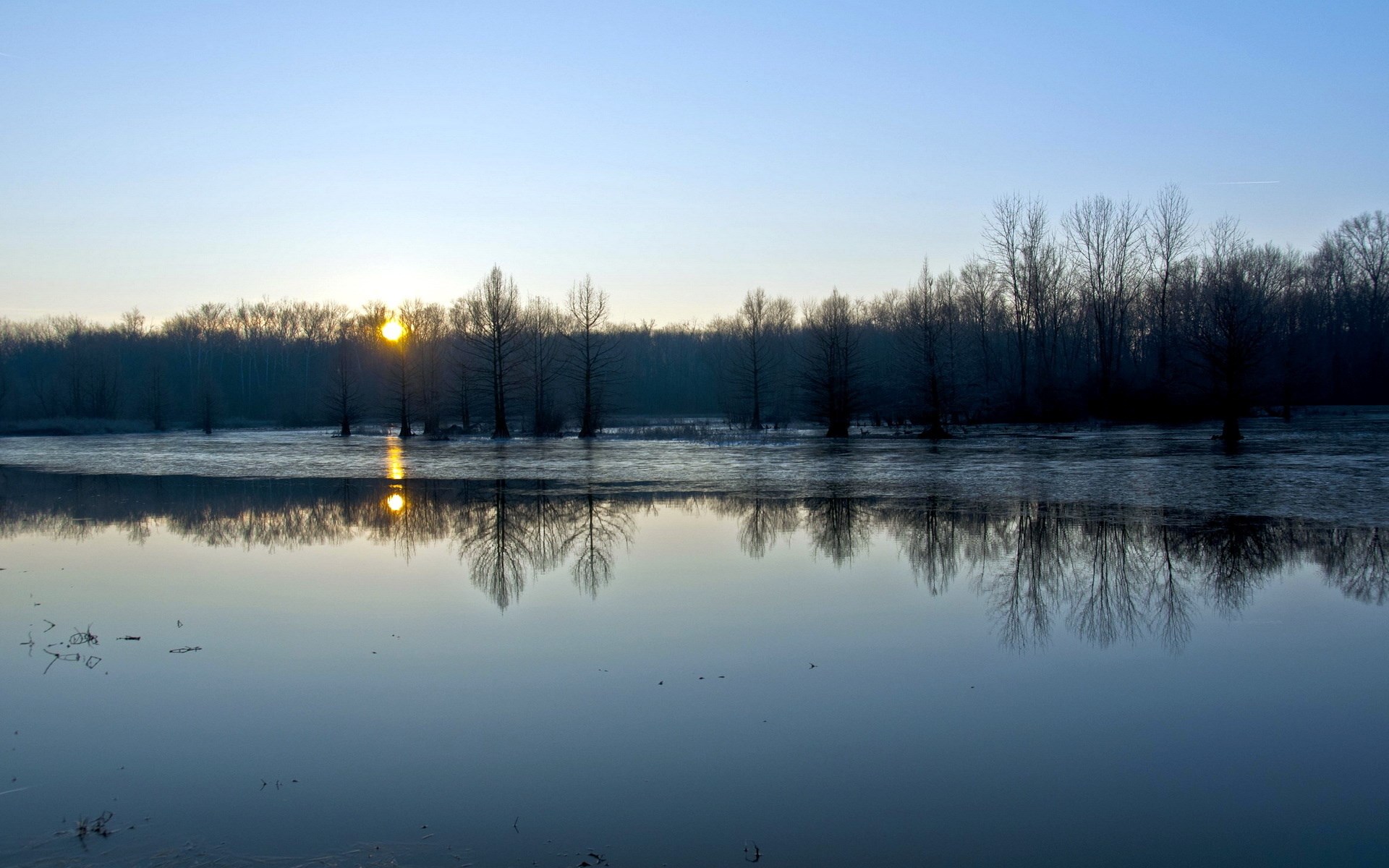 Sunrise over a flooded forest with reflections HD Wallpaper
