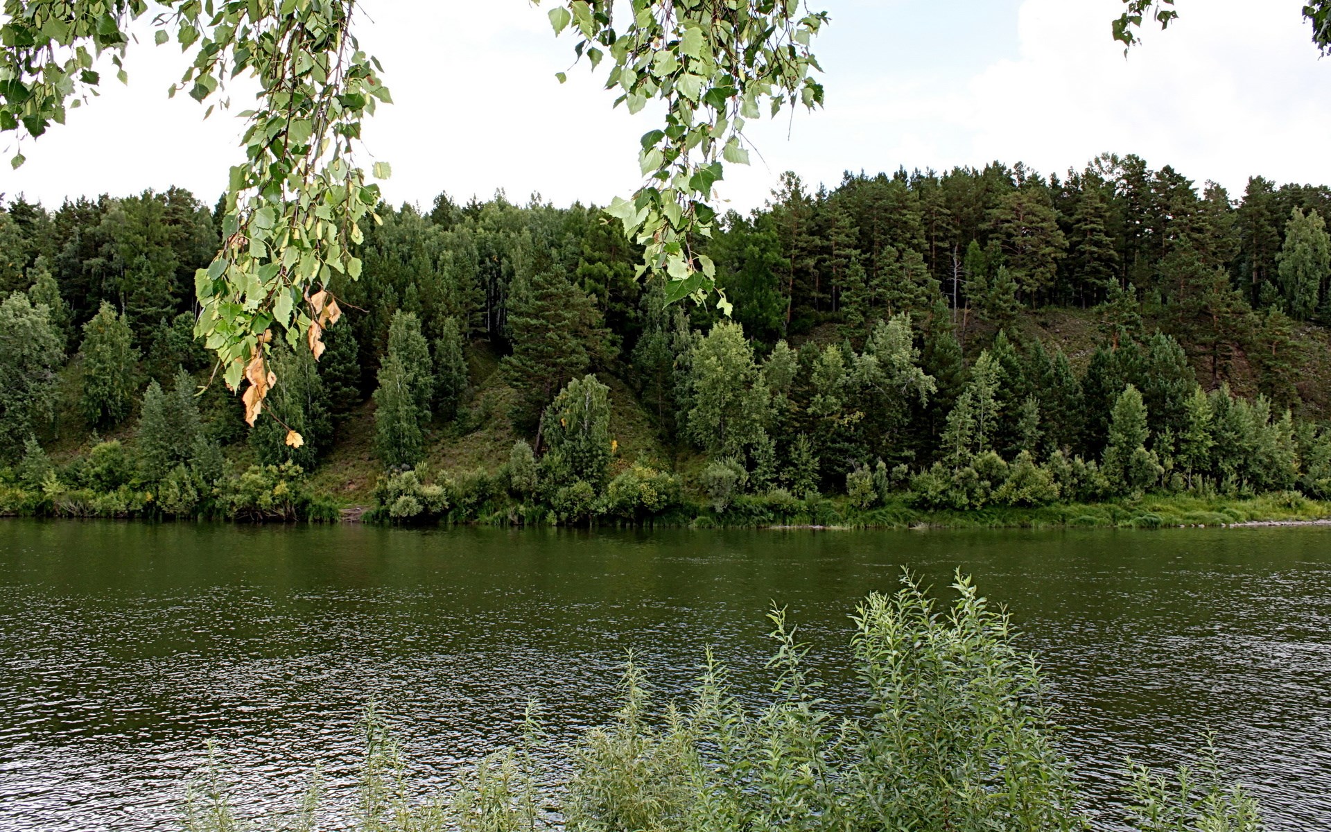 River flowing past a forested hill HD Wallpaper