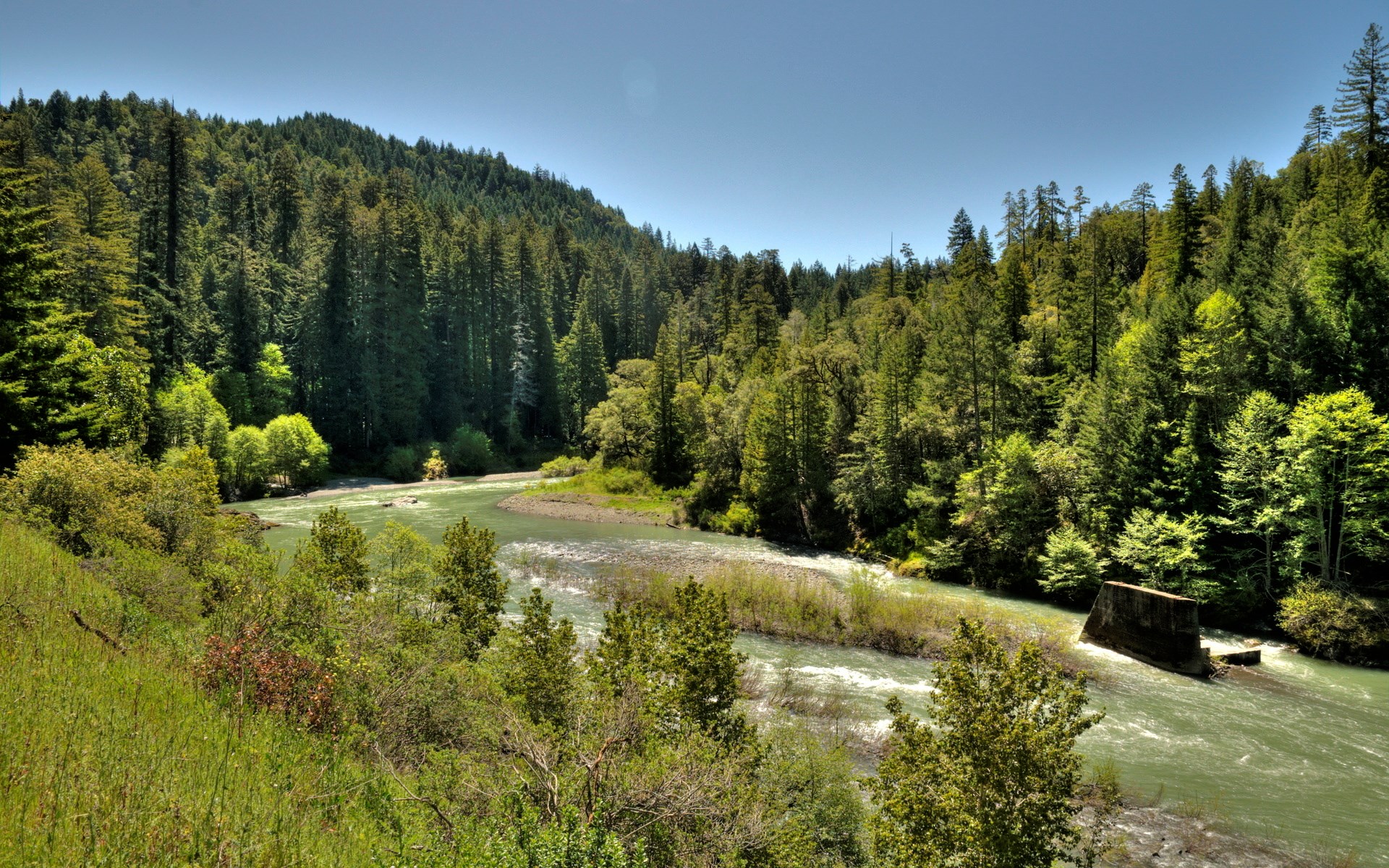 River flowing through a dense forest with clear blue sky HD Wallpaper