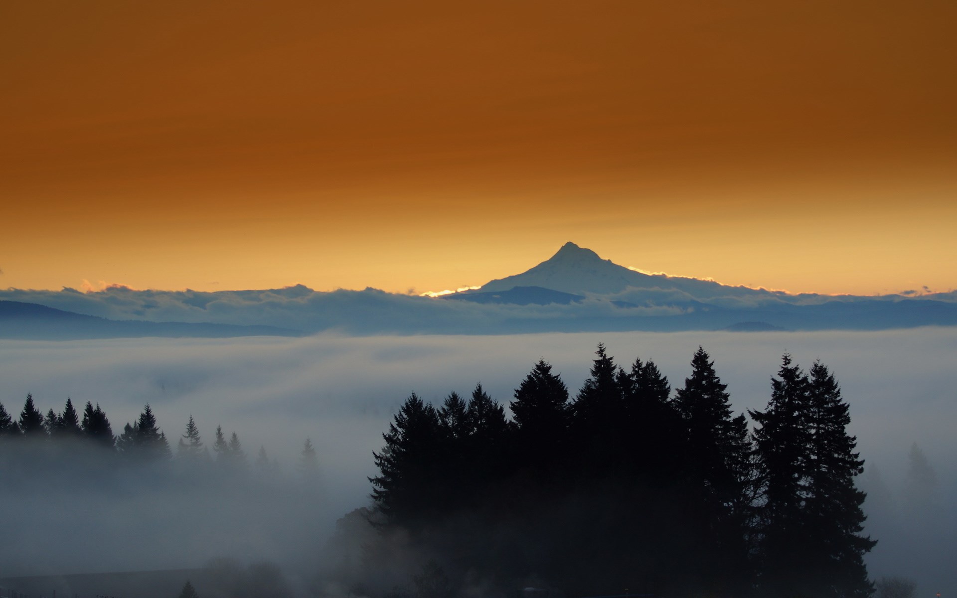 Mountain peak above fog and trees at sunset HD Wallpaper