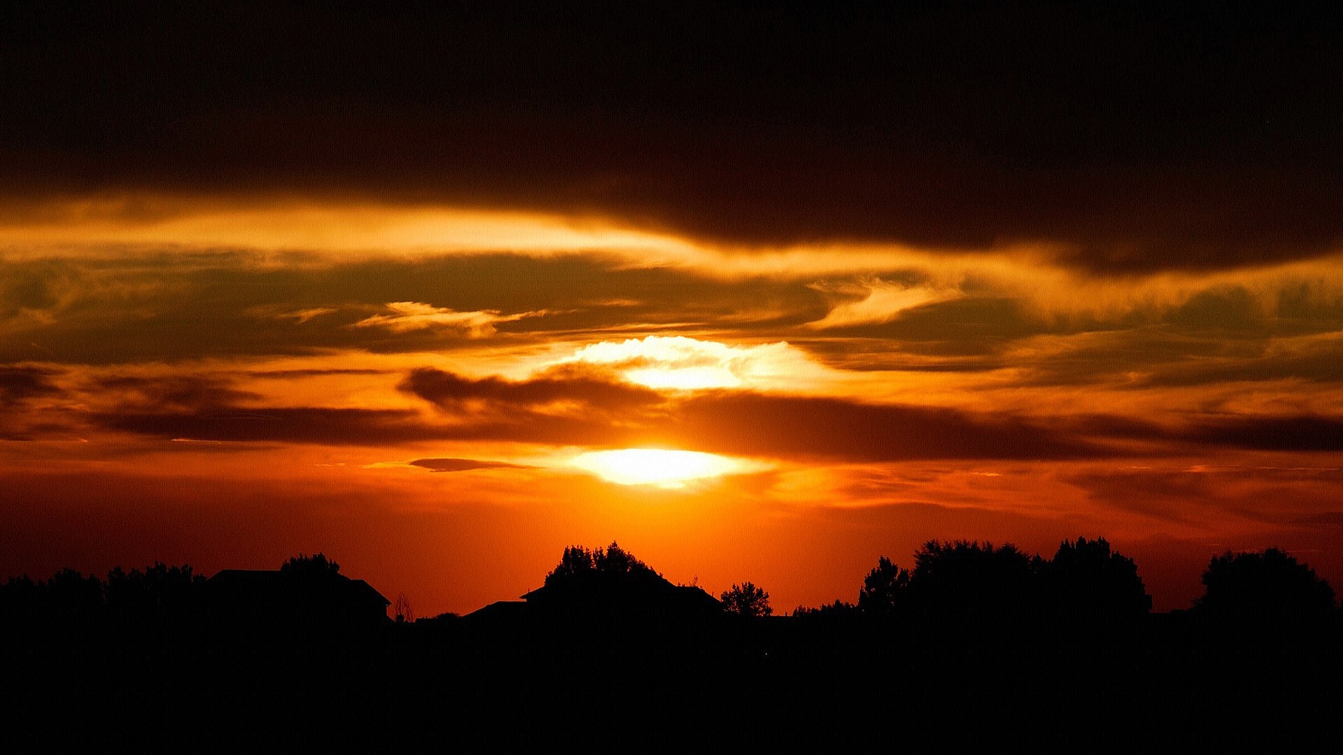 Sunset over silhouetted trees and houses HD Wallpaper