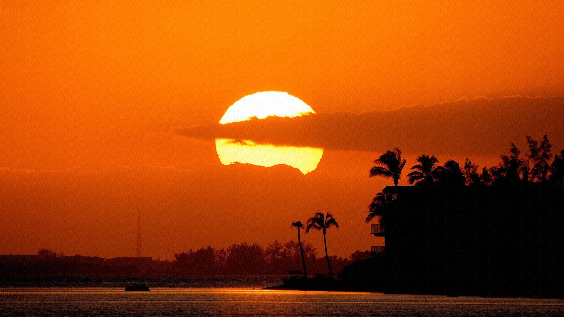 Sunset over the ocean with palm trees and a building HD Wallpaper