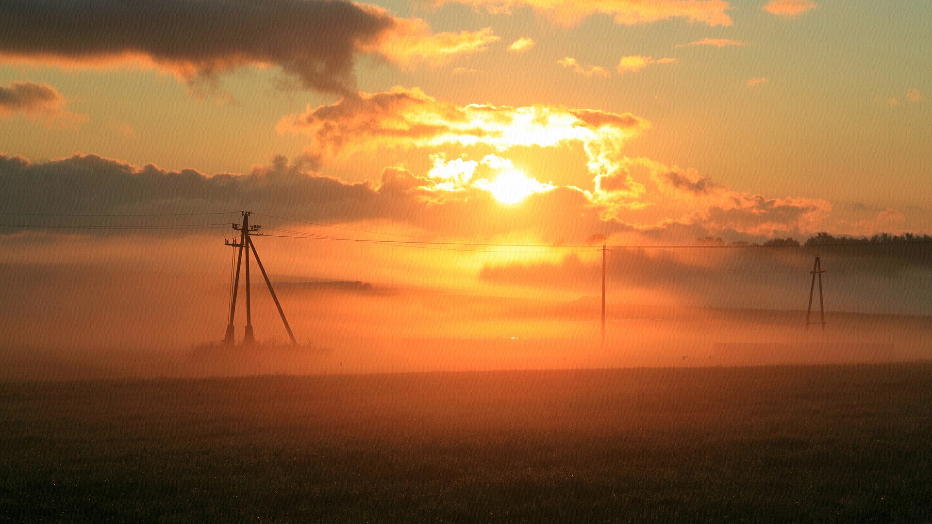 Sunrise over a foggy field with power lines HD Wallpaper