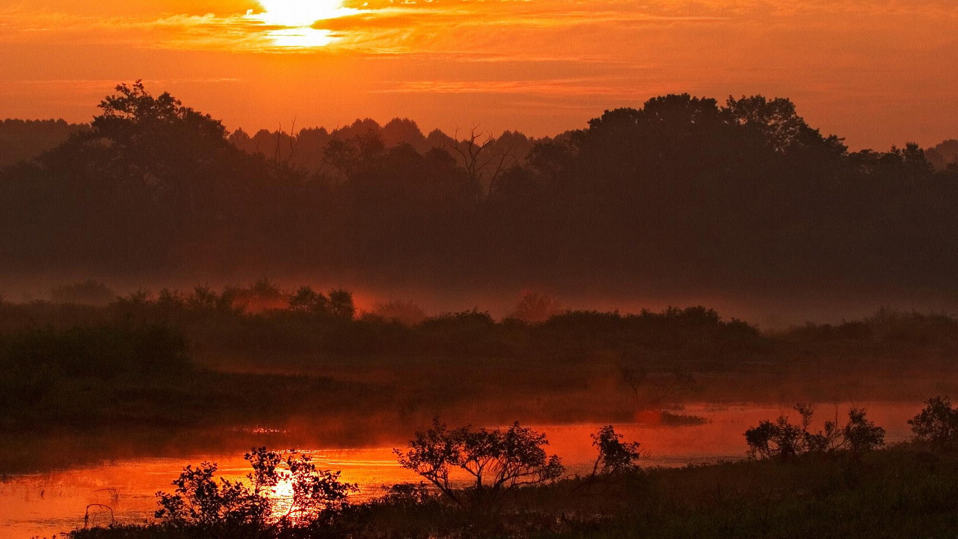 Sunrise over a misty river and forest HD Wallpaper