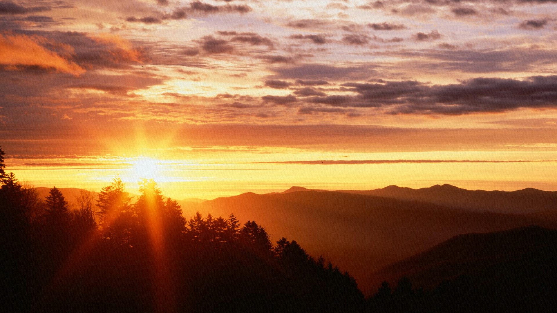 Sunset over mountains with silhouetted trees HD Wallpaper