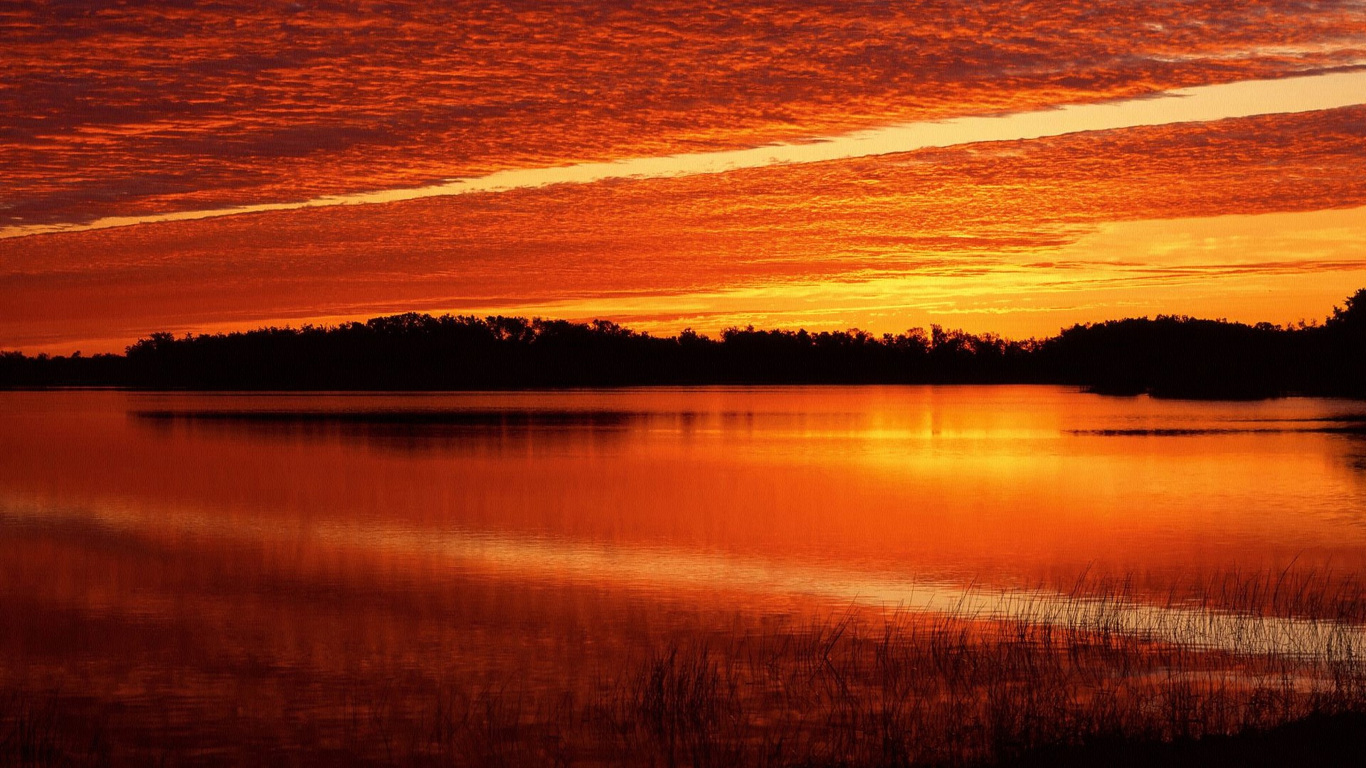 Sunset over a lake with silhouetted trees HD Wallpaper
