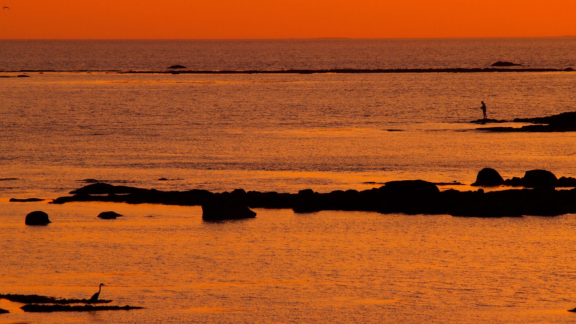 Silhouette of a person fishing at sunset by the sea HD Wallpaper