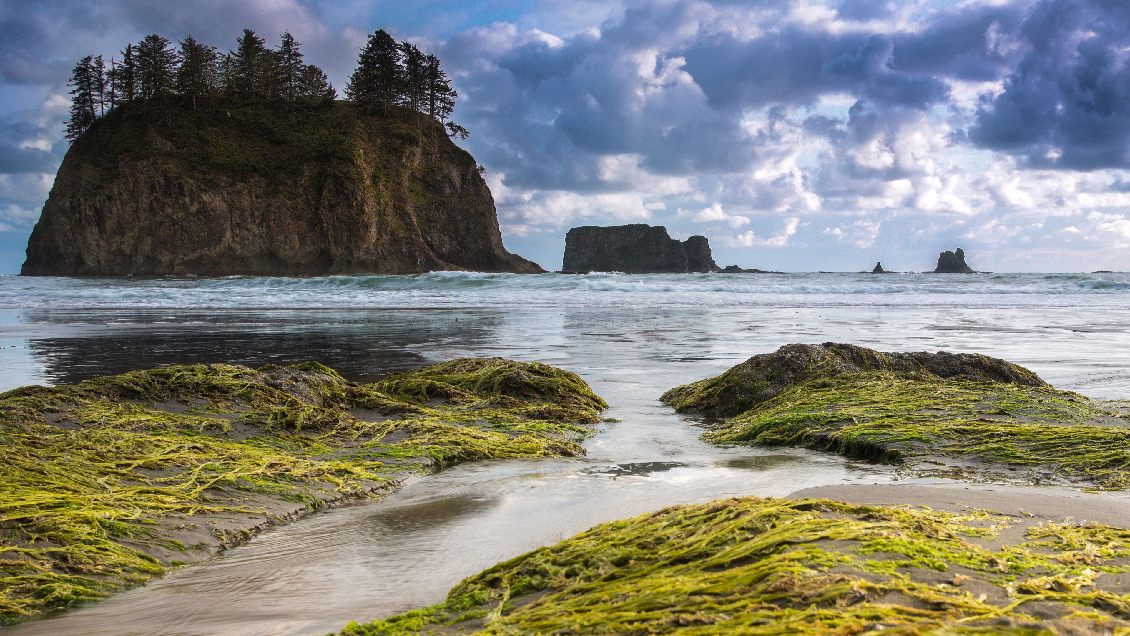 Rocky island with trees and sea stacks at Rialto Beach HD Wallpaper
