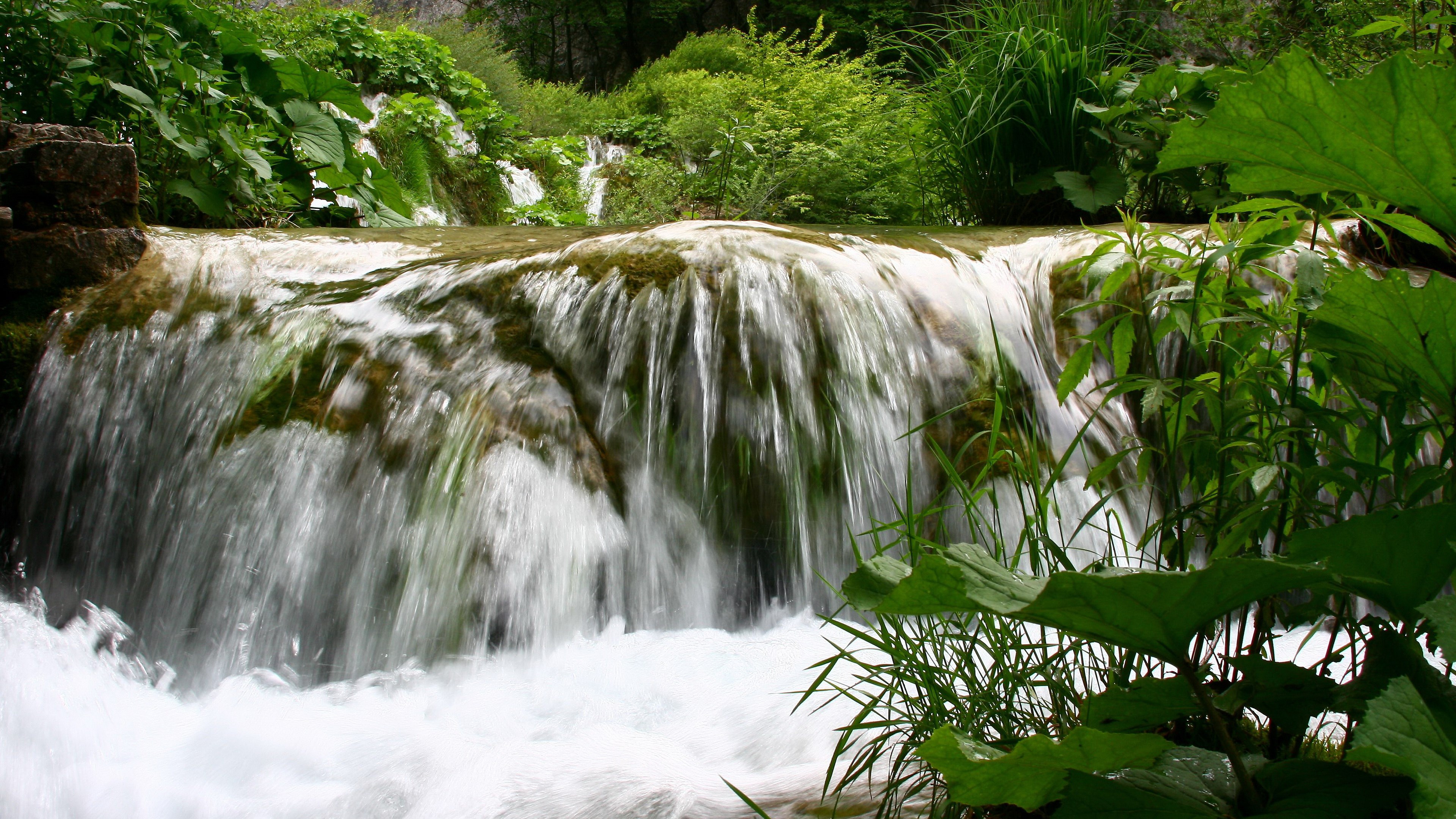Waterfall cascading over mossy rocks with lush green foliage HD Wallpaper