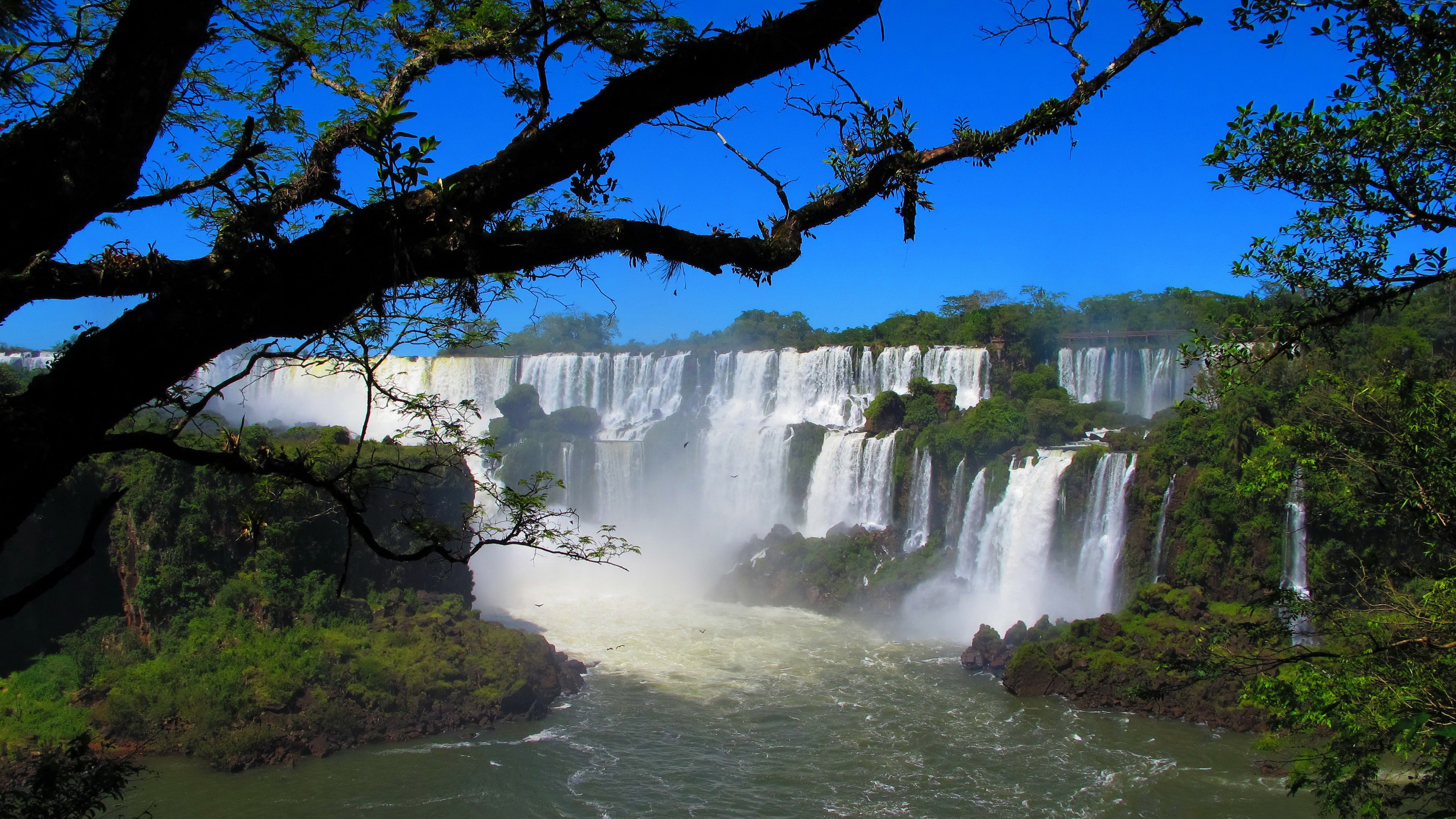 Iguazu Falls with lush green foliage and blue sky HD Wallpaper