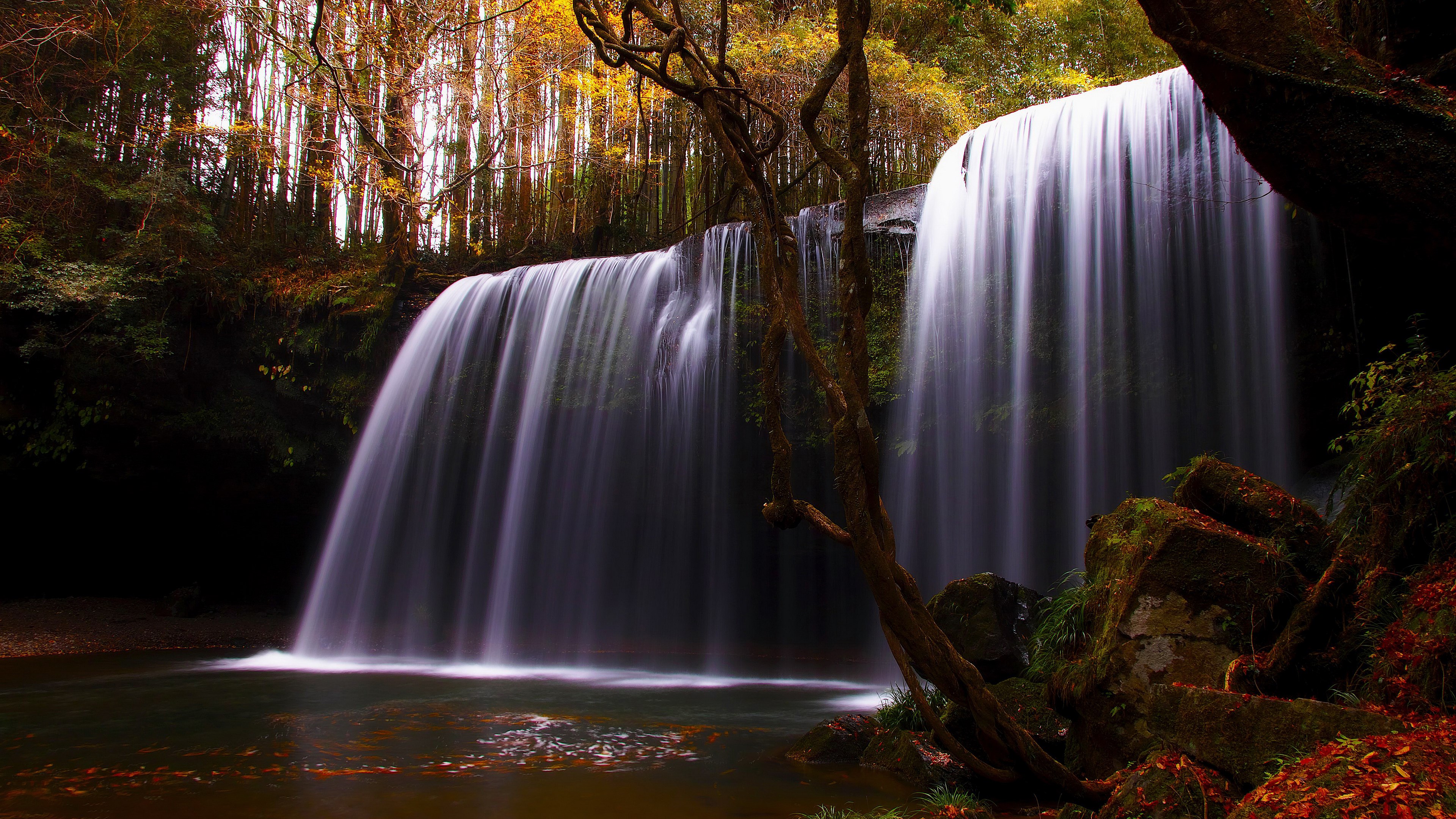 Waterfall in a forest with autumn foliage HD Wallpaper