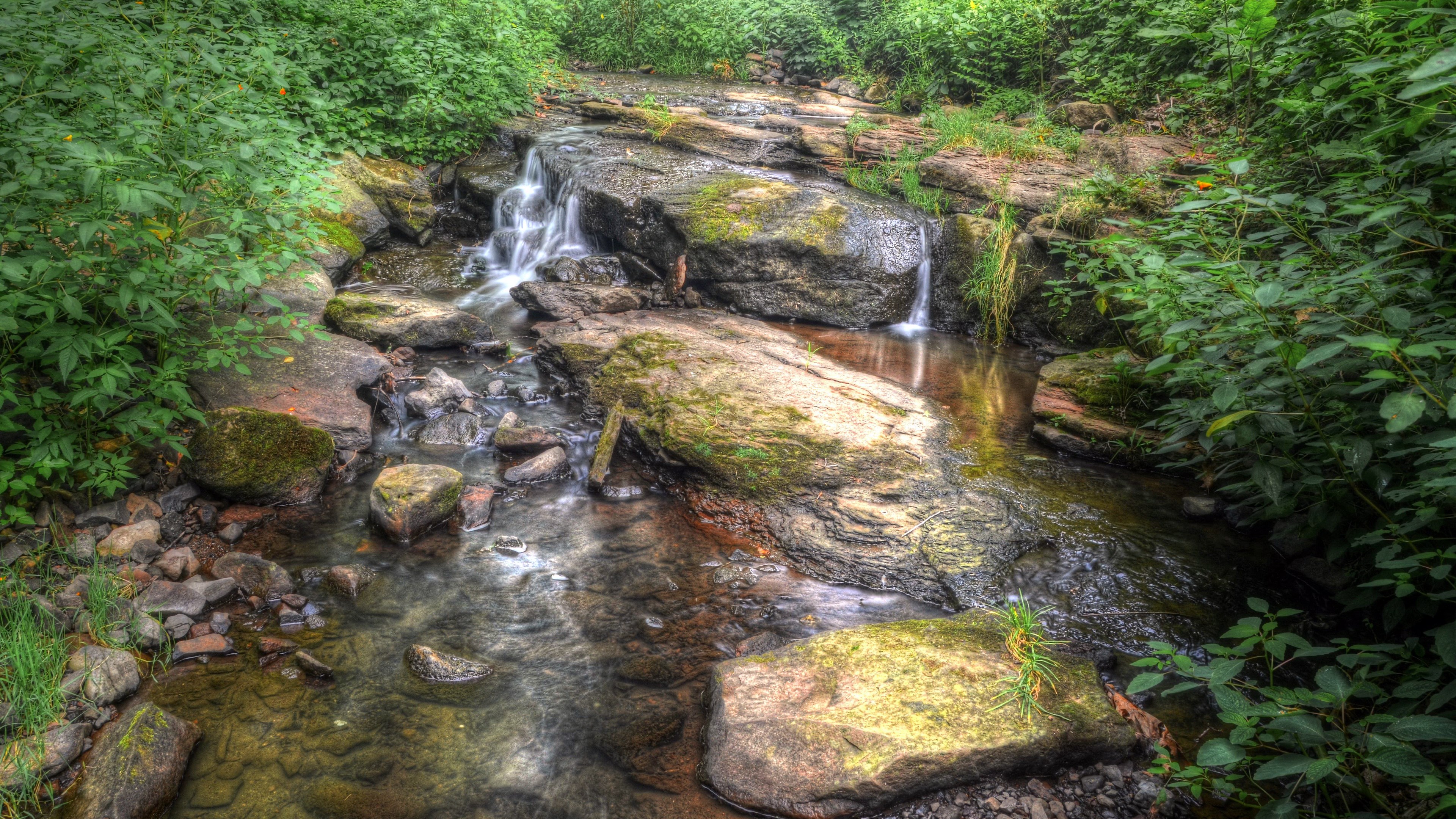A small waterfall flows over rocks in a forest HD Wallpaper