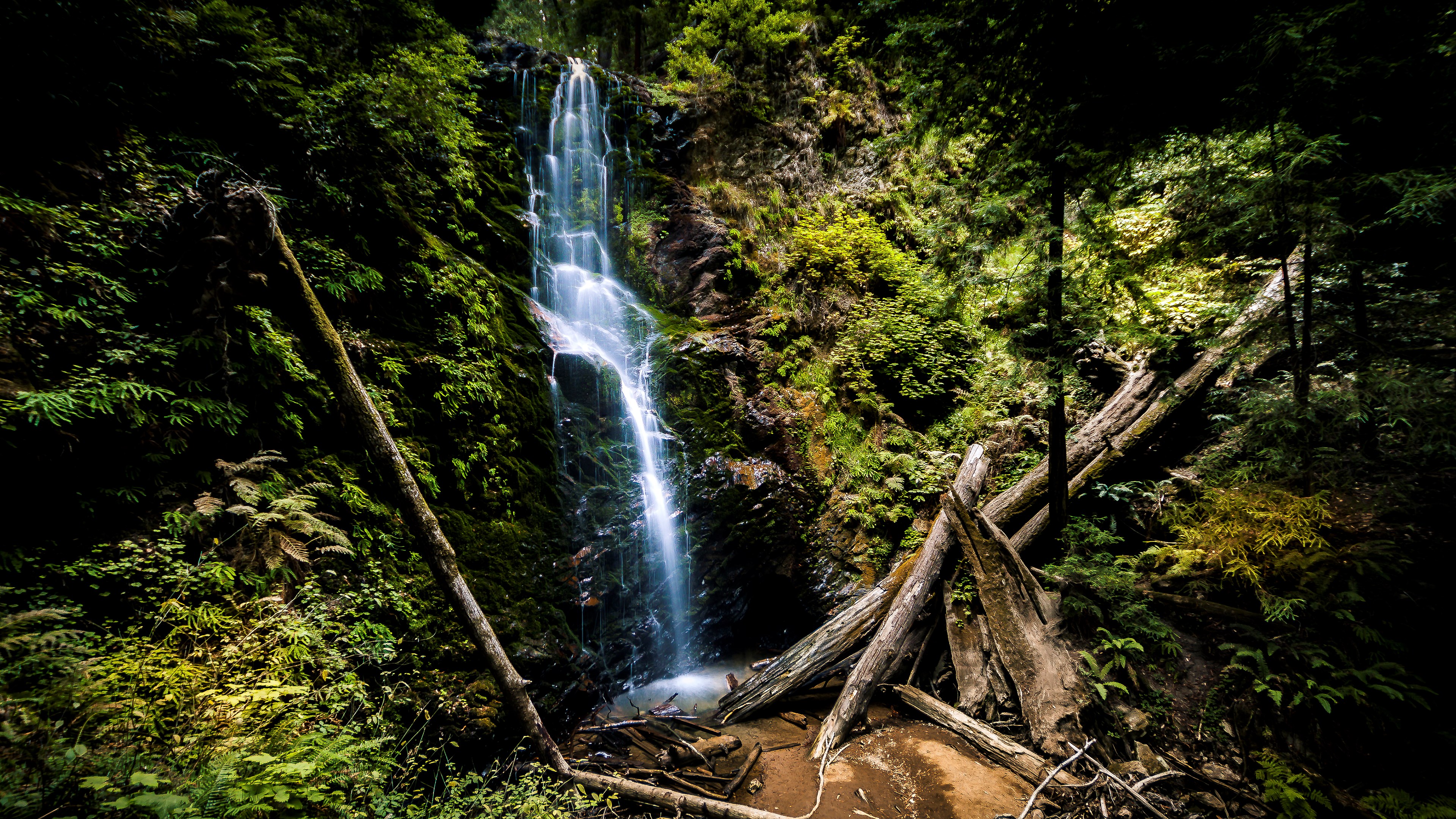 Waterfall cascading down a mossy cliff in a dense forest HD Wallpaper