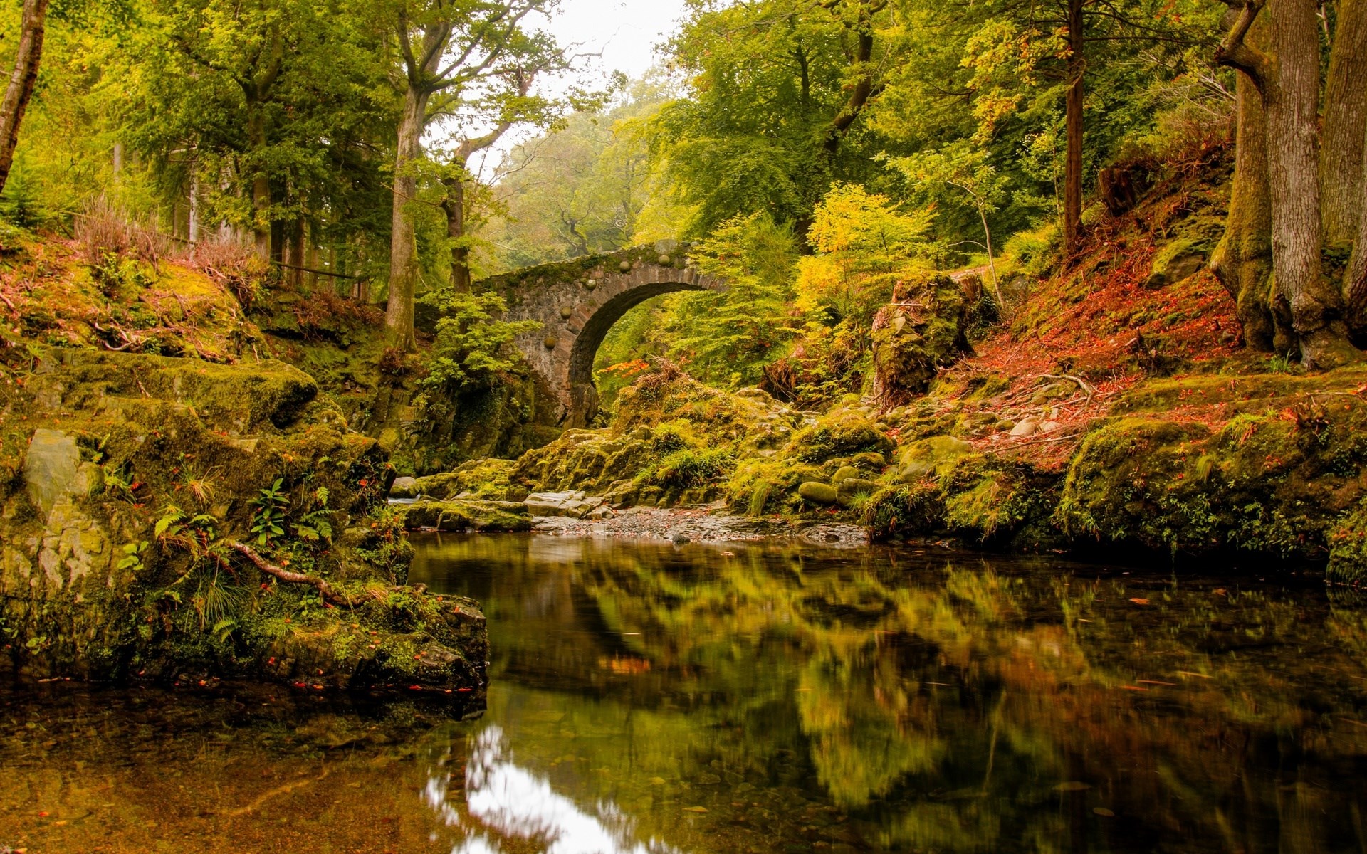 Stone bridge over a river in a forest HD Wallpaper