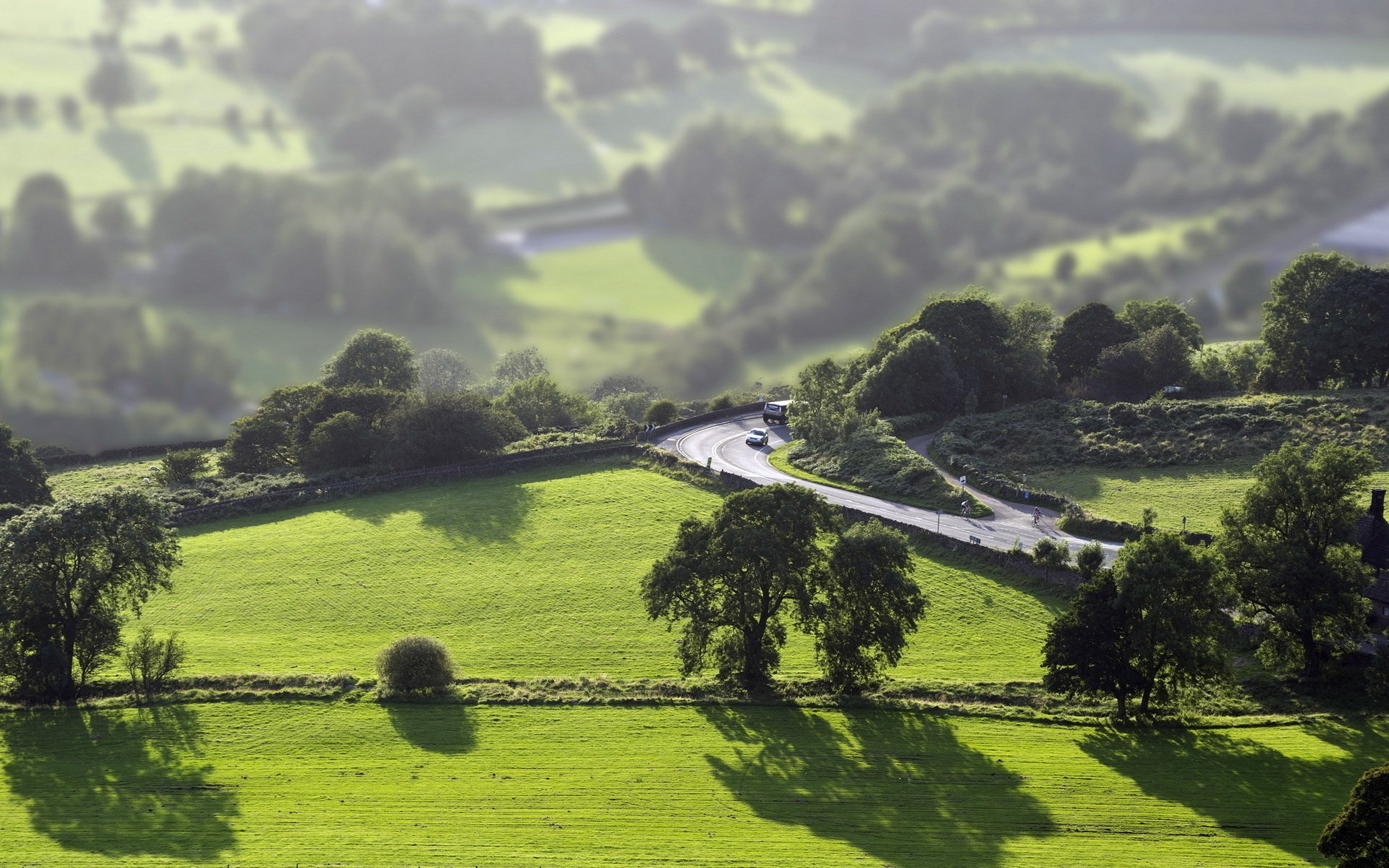 Winding road through green hills with trees and shadows HD Wallpaper