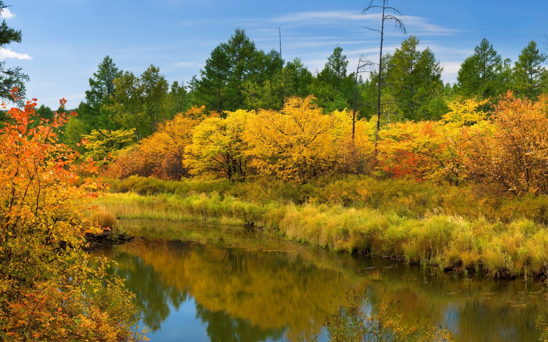 Autumn forest with a river and reflections HD Wallpaper