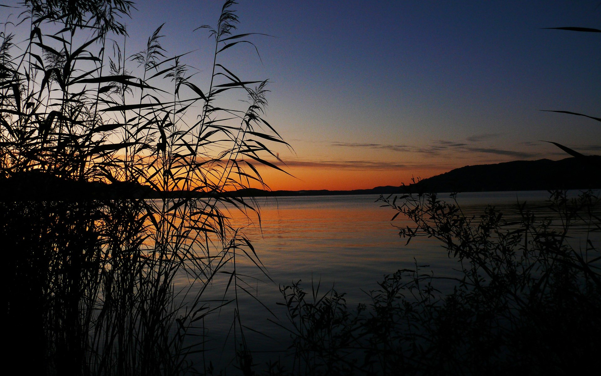 Sunset over a lake with reeds in silhouette HD Wallpaper