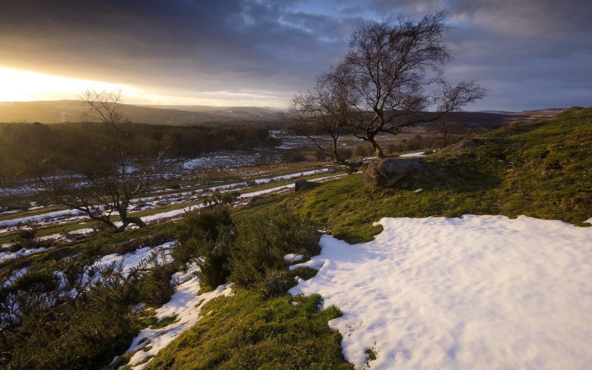 Winter landscape with trees and snow HD Wallpaper