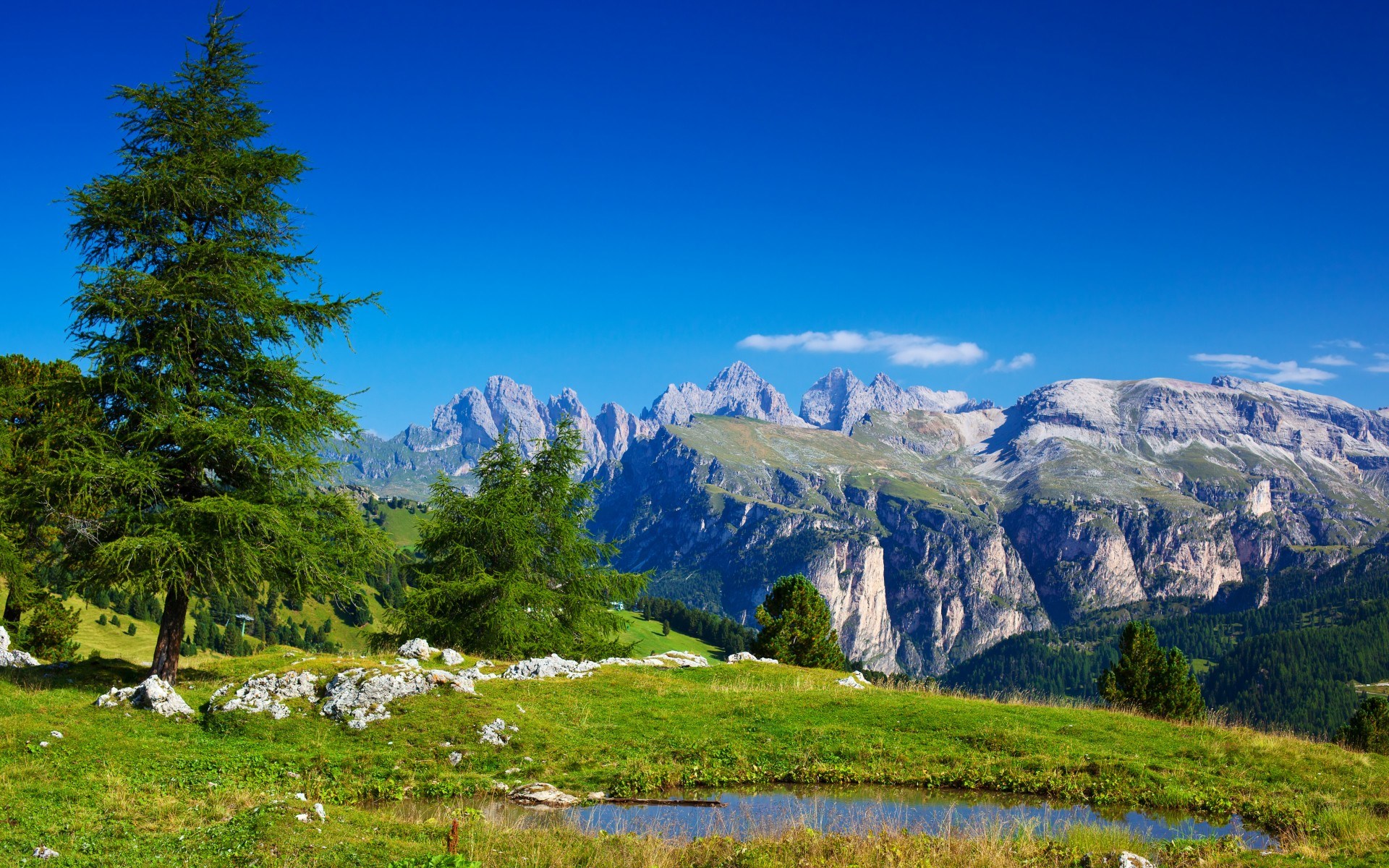 Mountain range with trees and a pond HD Wallpaper