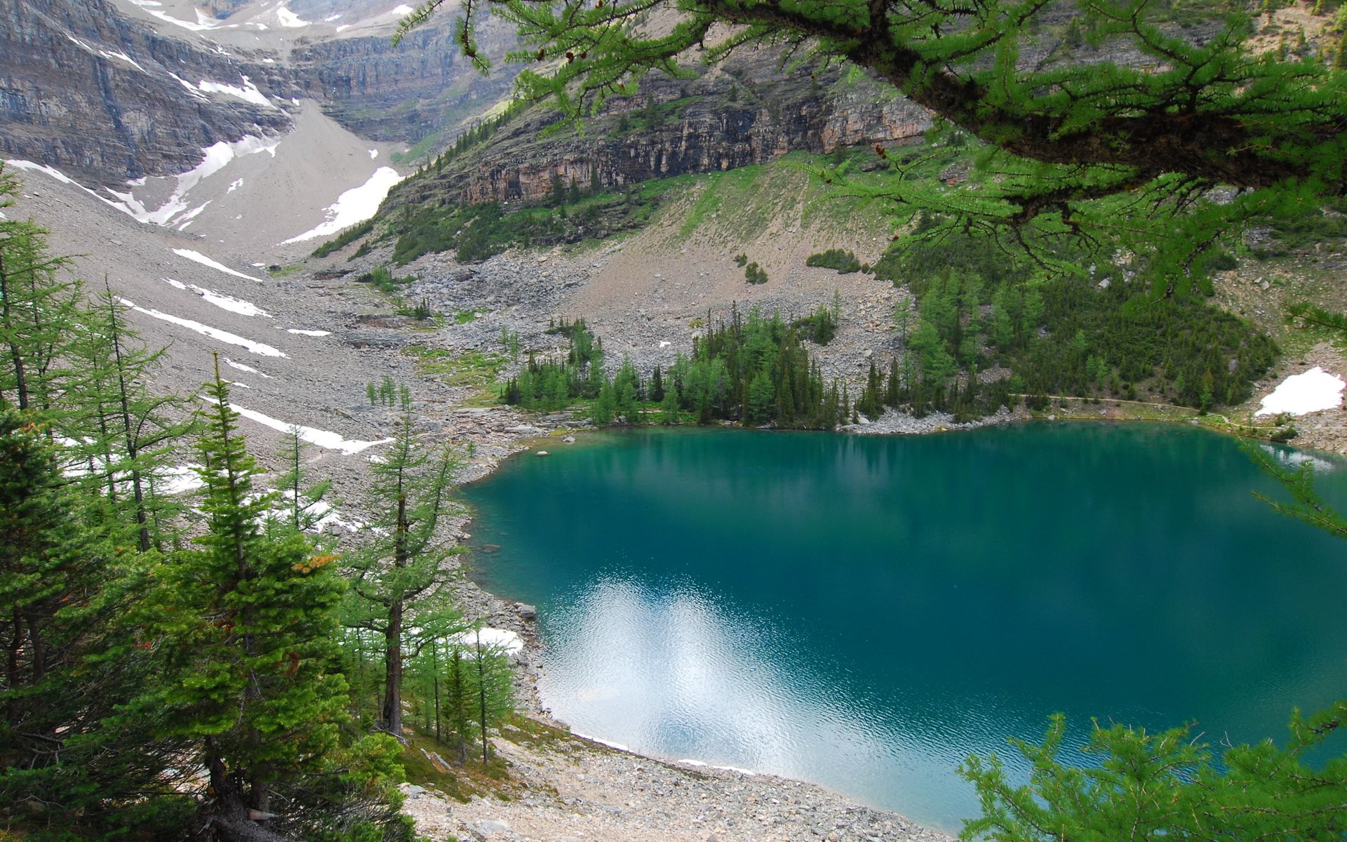 Turquoise lake surrounded by rocky mountains and pine trees HD Wallpaper