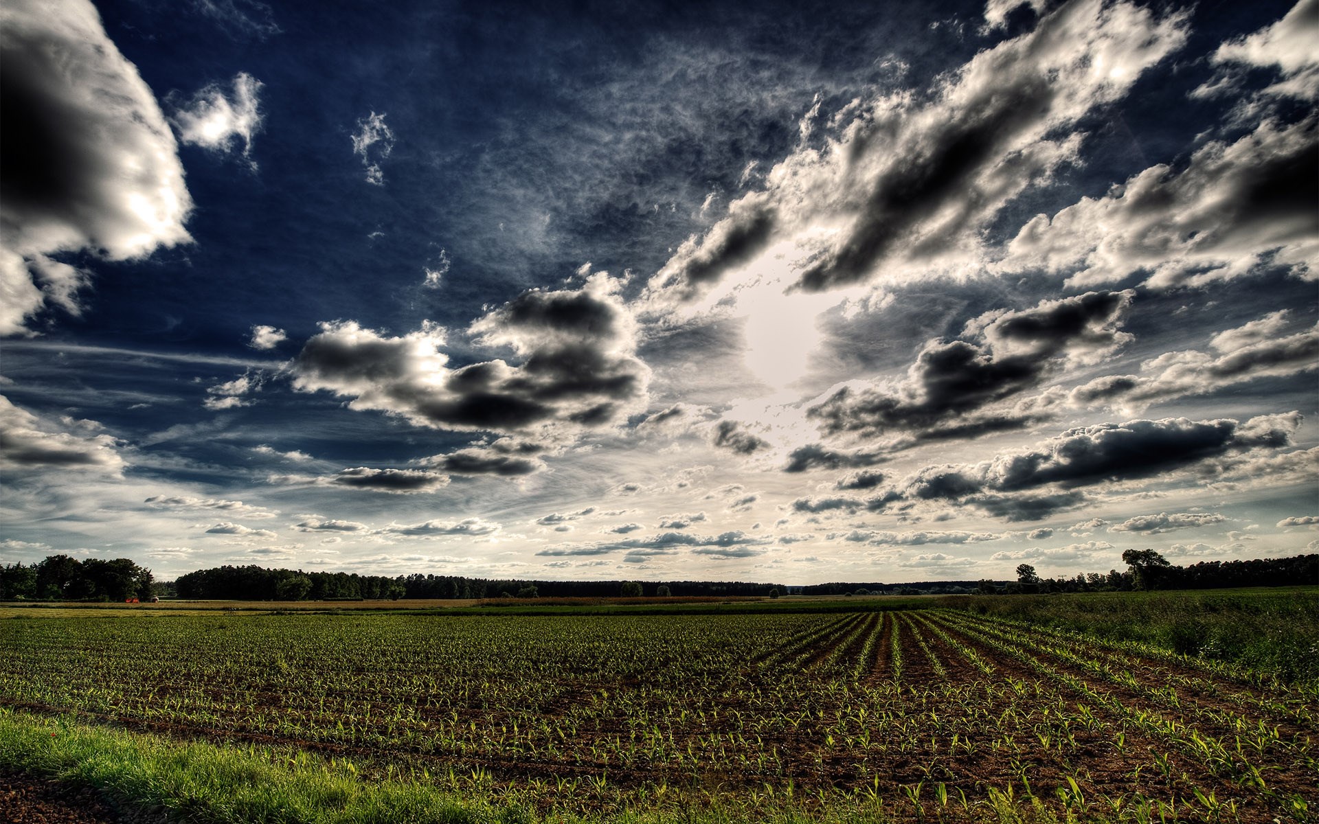 Farm field with dramatic clouds HD Wallpaper
