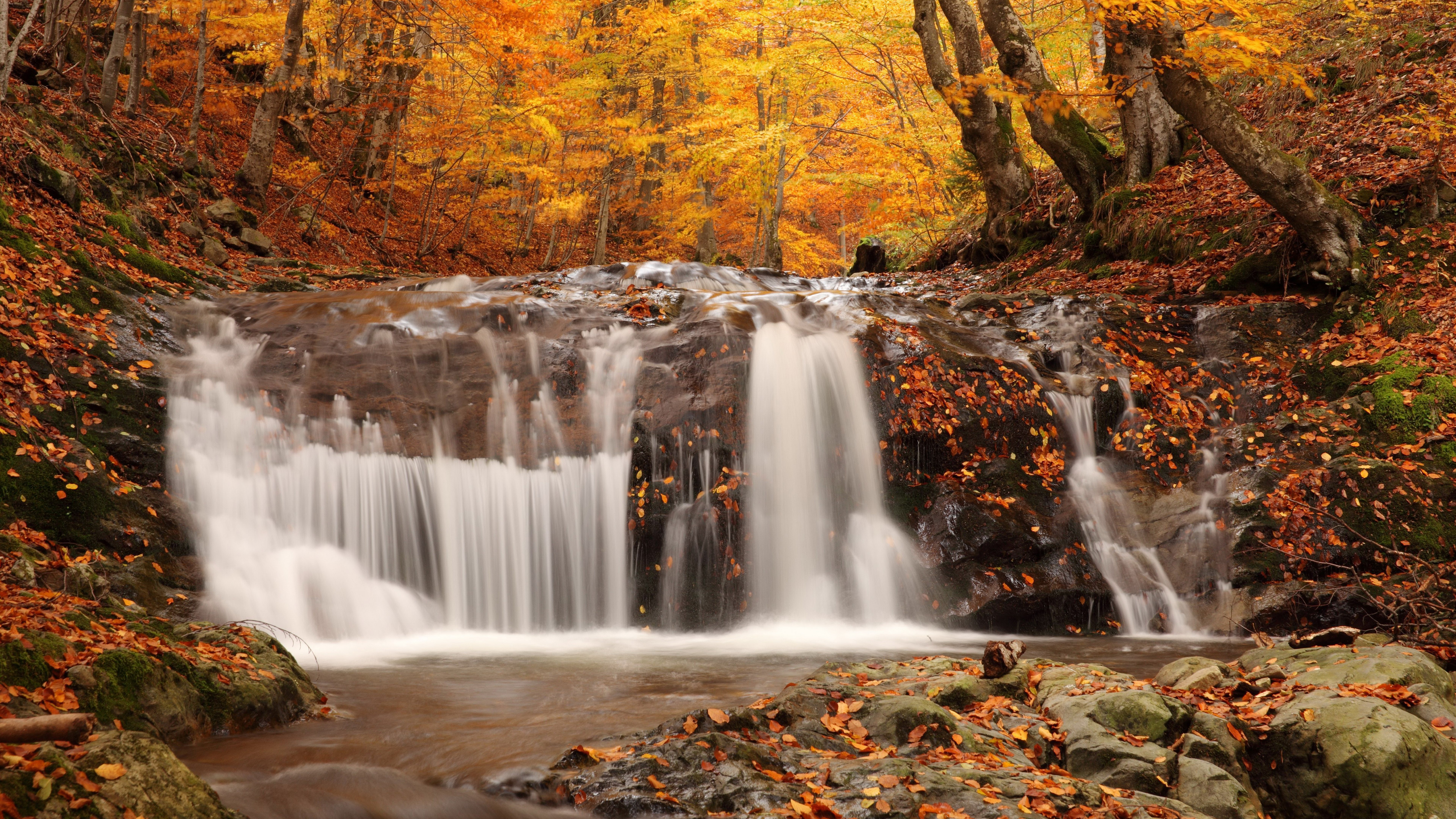 Waterfall in an autumn forest with fallen leaves HD Wallpaper