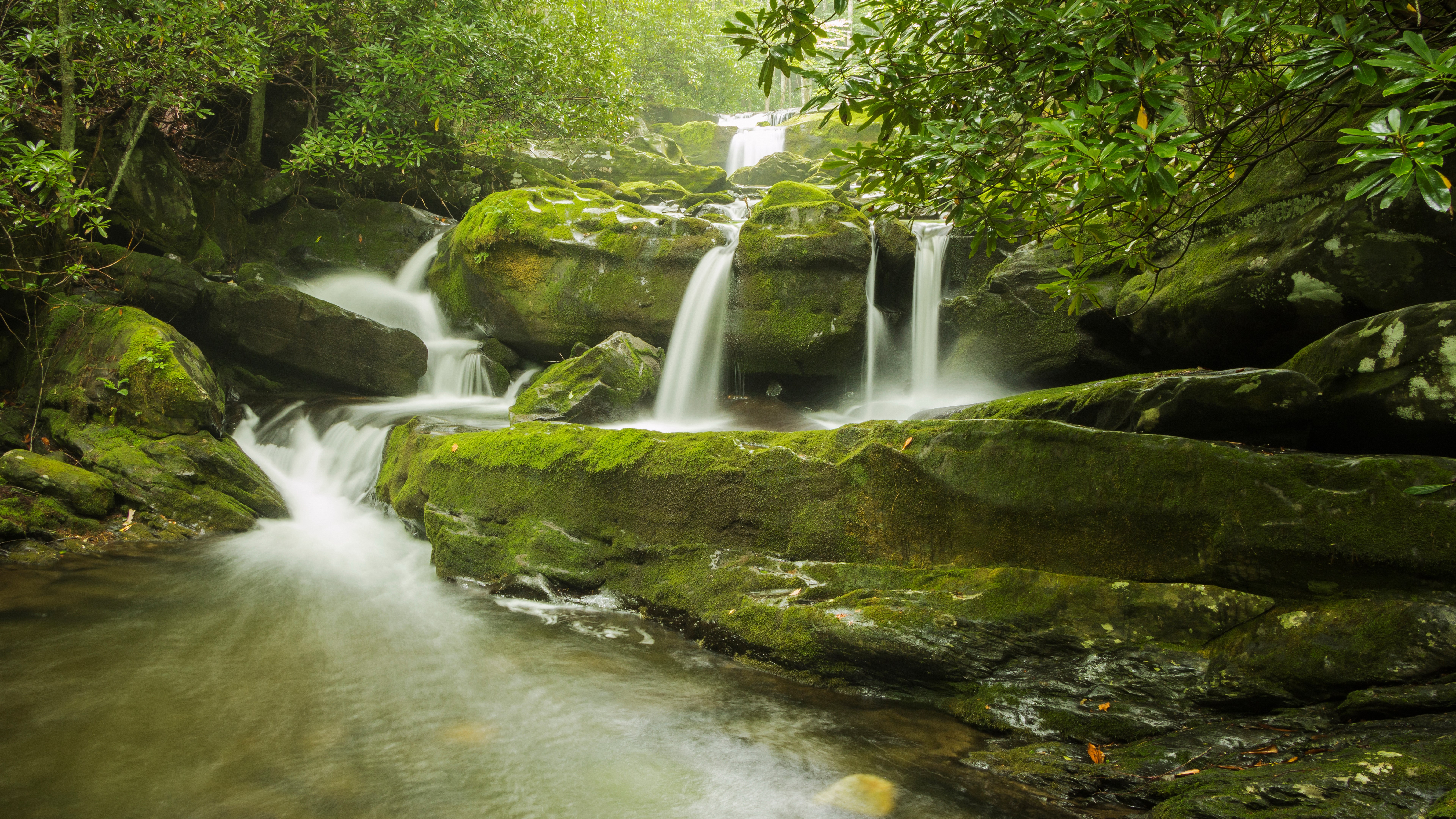 Mossy rocks and waterfalls in a forest HD Wallpaper