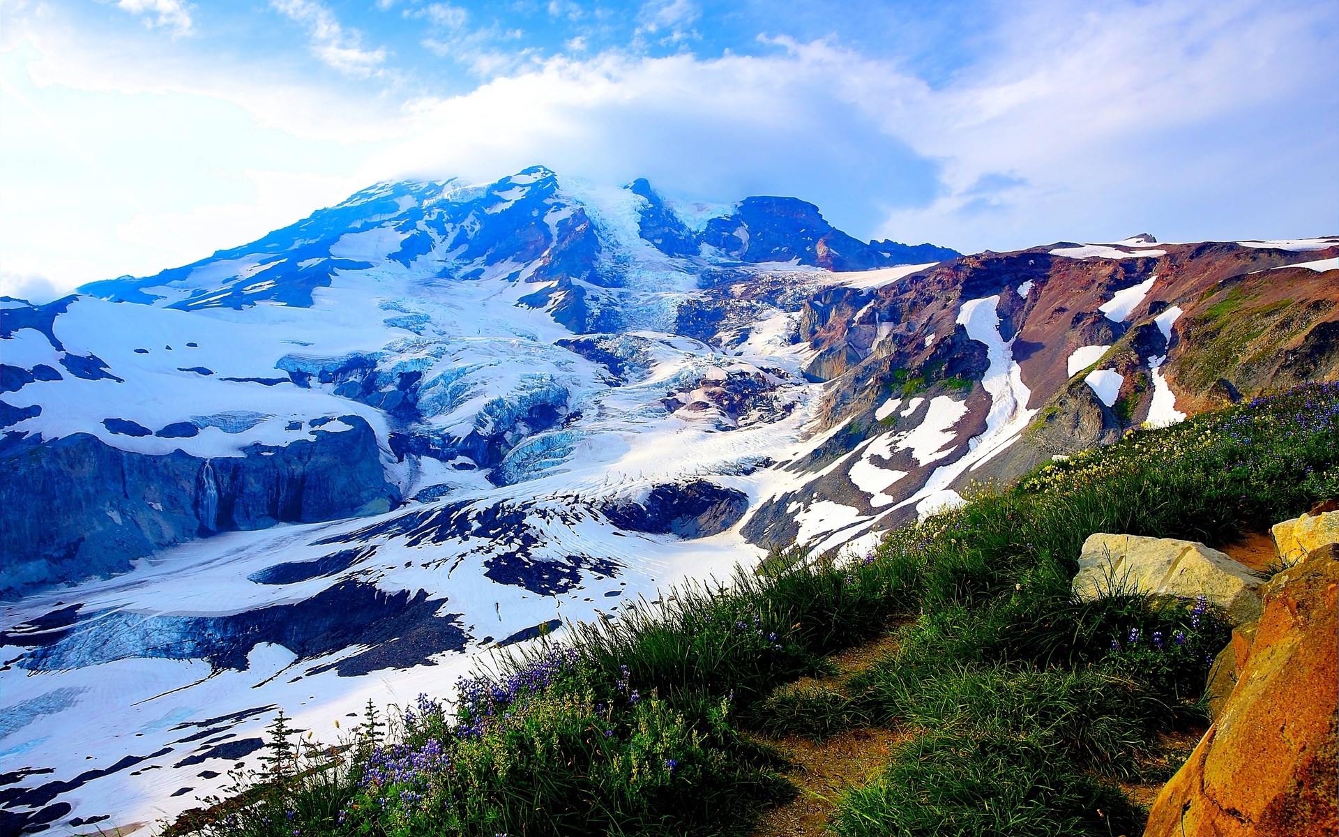 Mount Rainier Glacier and Wildflowers HD Wallpaper
